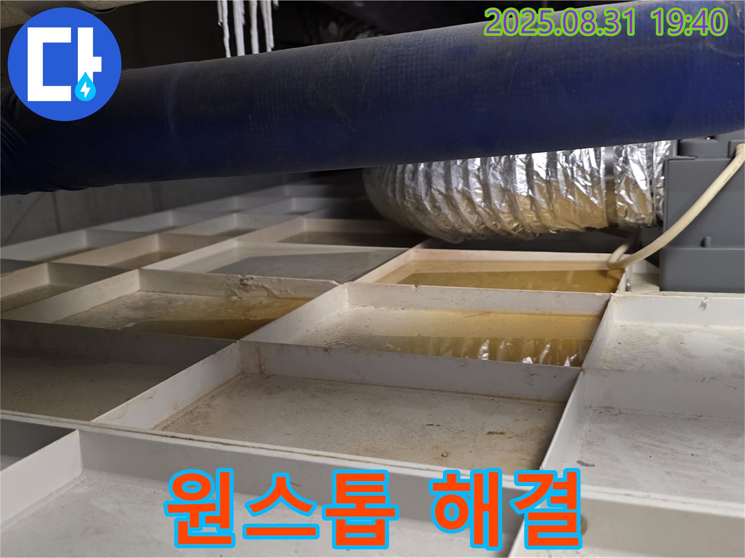 성남 분당 산운로 건물 지하 누수 - 누수 탐지부터 공사까지 원스톱으로 해결