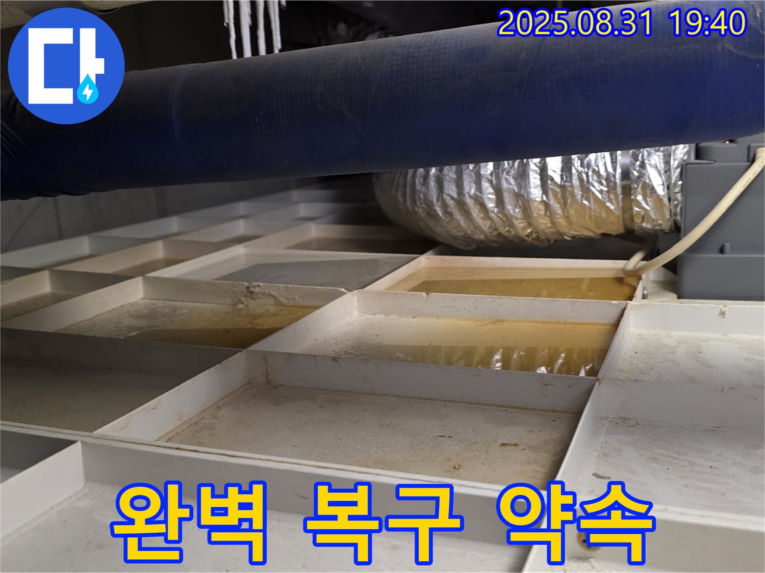 성남 분당 산운로 건물 지하 누수 - 누수 해결 후 완벽한 복구 작업 약속