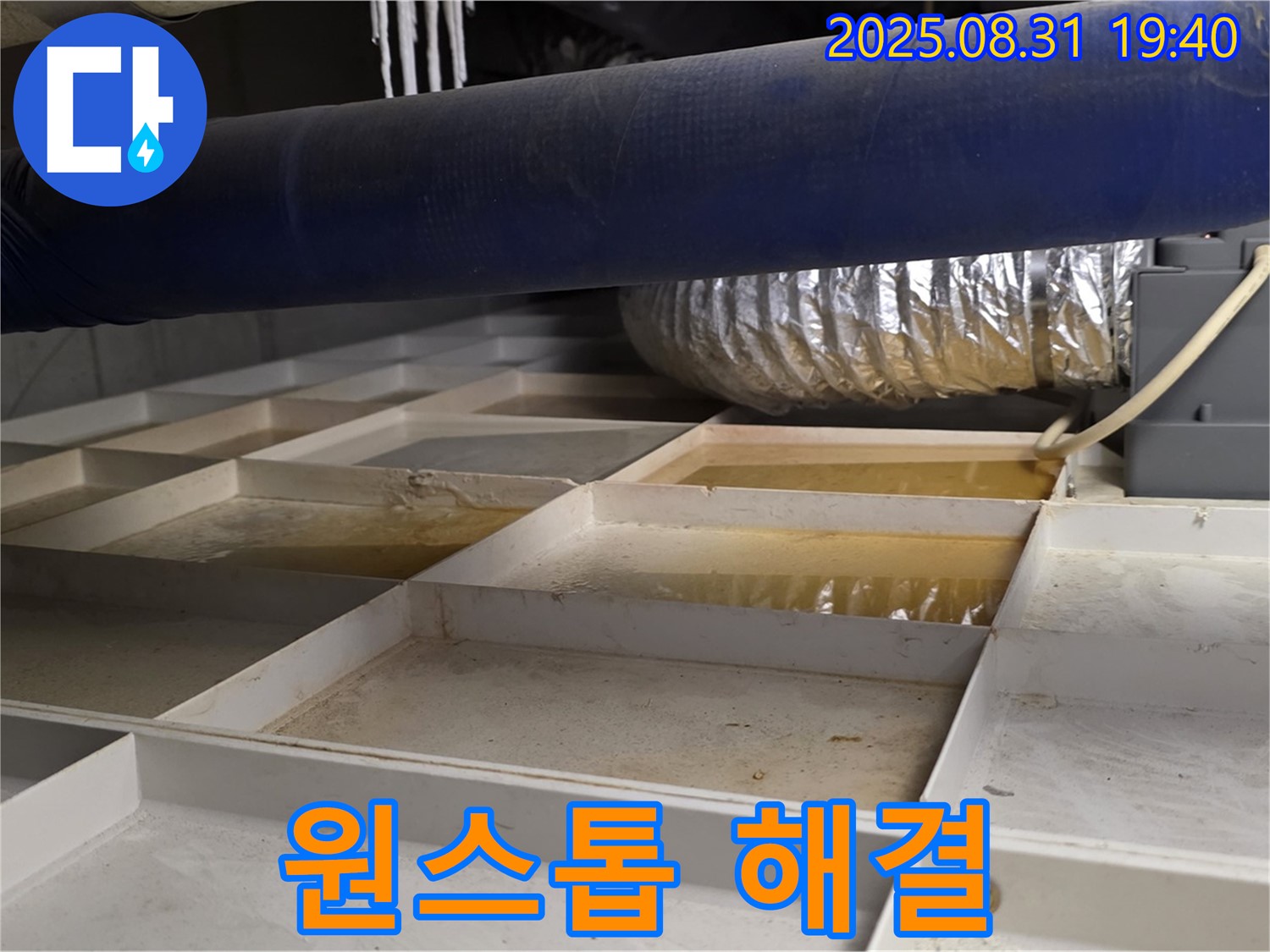 성남 분당 산운로 건물 천장 누수 - 누수 탐지부터 공사까지 원스톱으로 해결