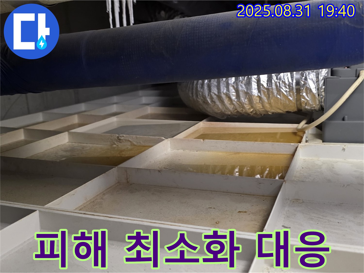 성남 분당 산운로 건물 천장 누수 - 누수 피해 최소화를 위한 긴급 대응