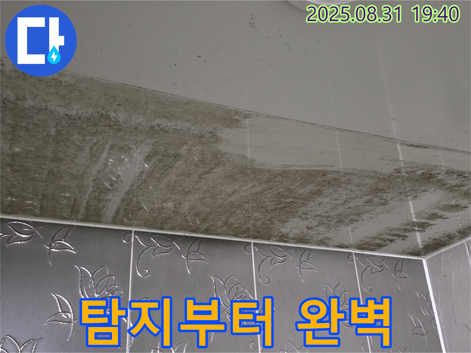 성남 분당구 산운로 - 누수탐지 완벽 공사, 곰팡이 제거