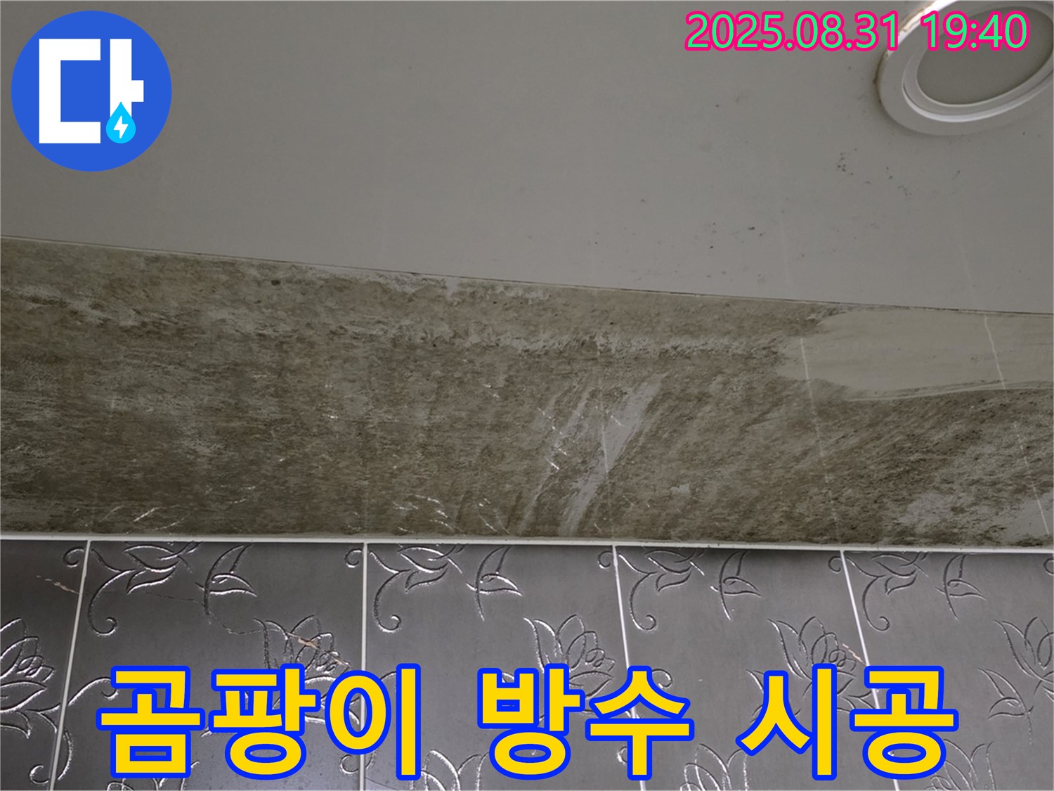 성남시 분당구 운중동 욕실 천장 누수 - 곰팡이 제거와 완벽한 방수 공사로 해결!