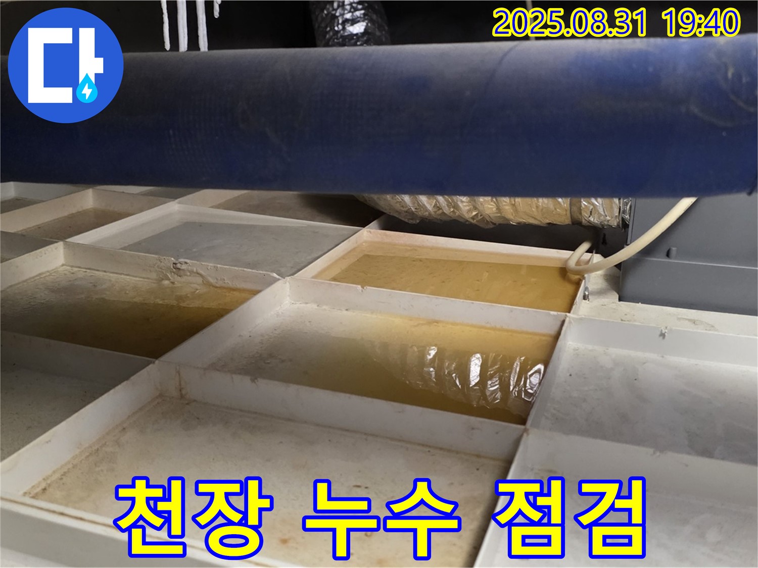 천장 누수 점검 - 꼼꼼하게 누수 원인 분석