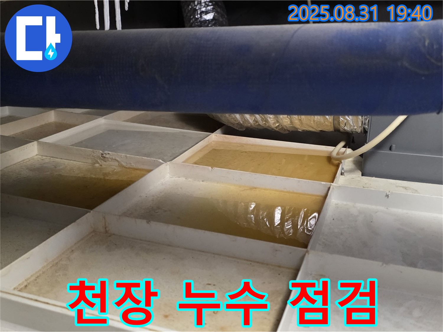 천장 누수 점검 - 꼼꼼하게 누수 원인 분석 중
