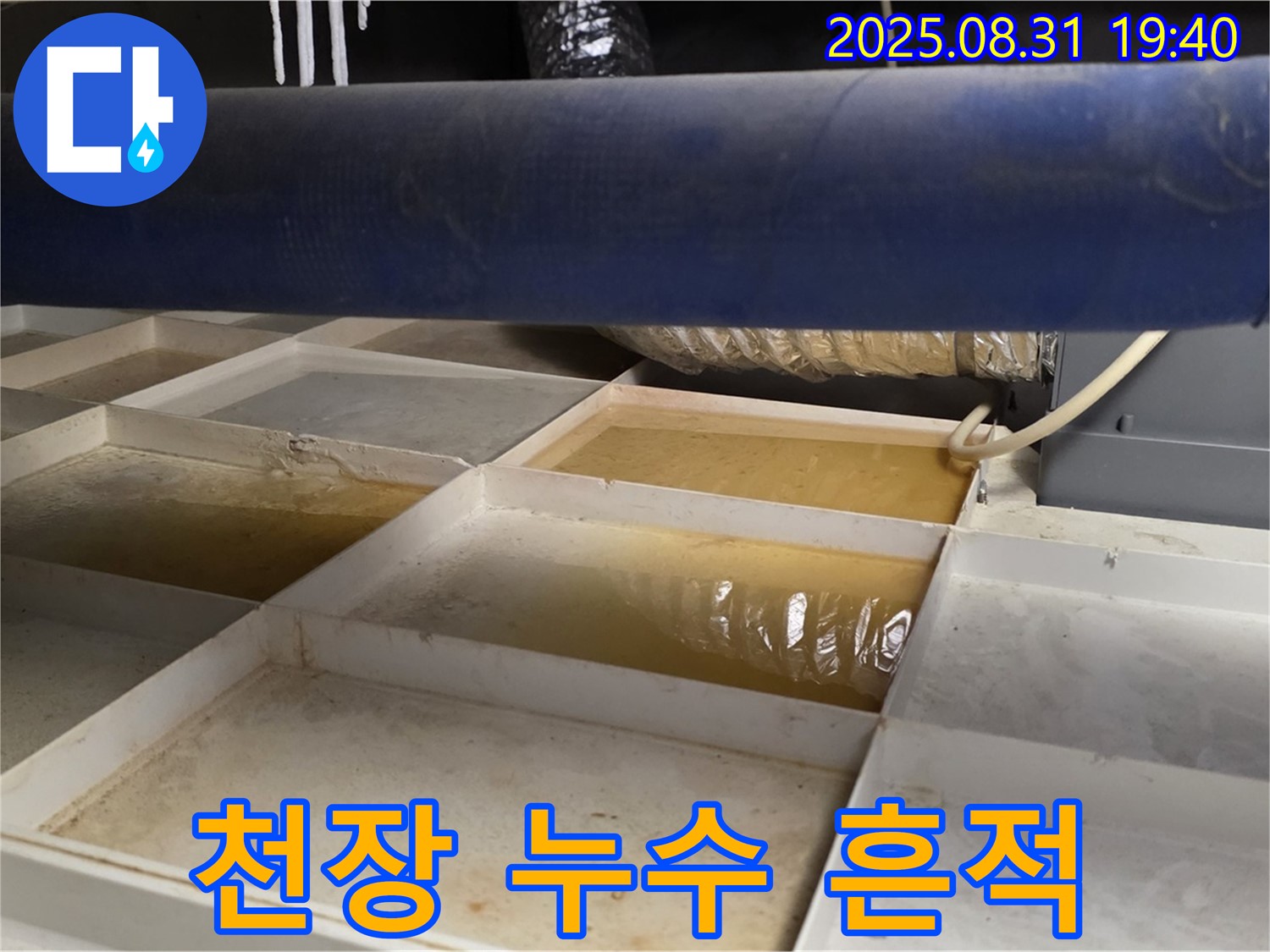 천장 누수 흔적 - 트레이 속 물 - 누수 의심 필수