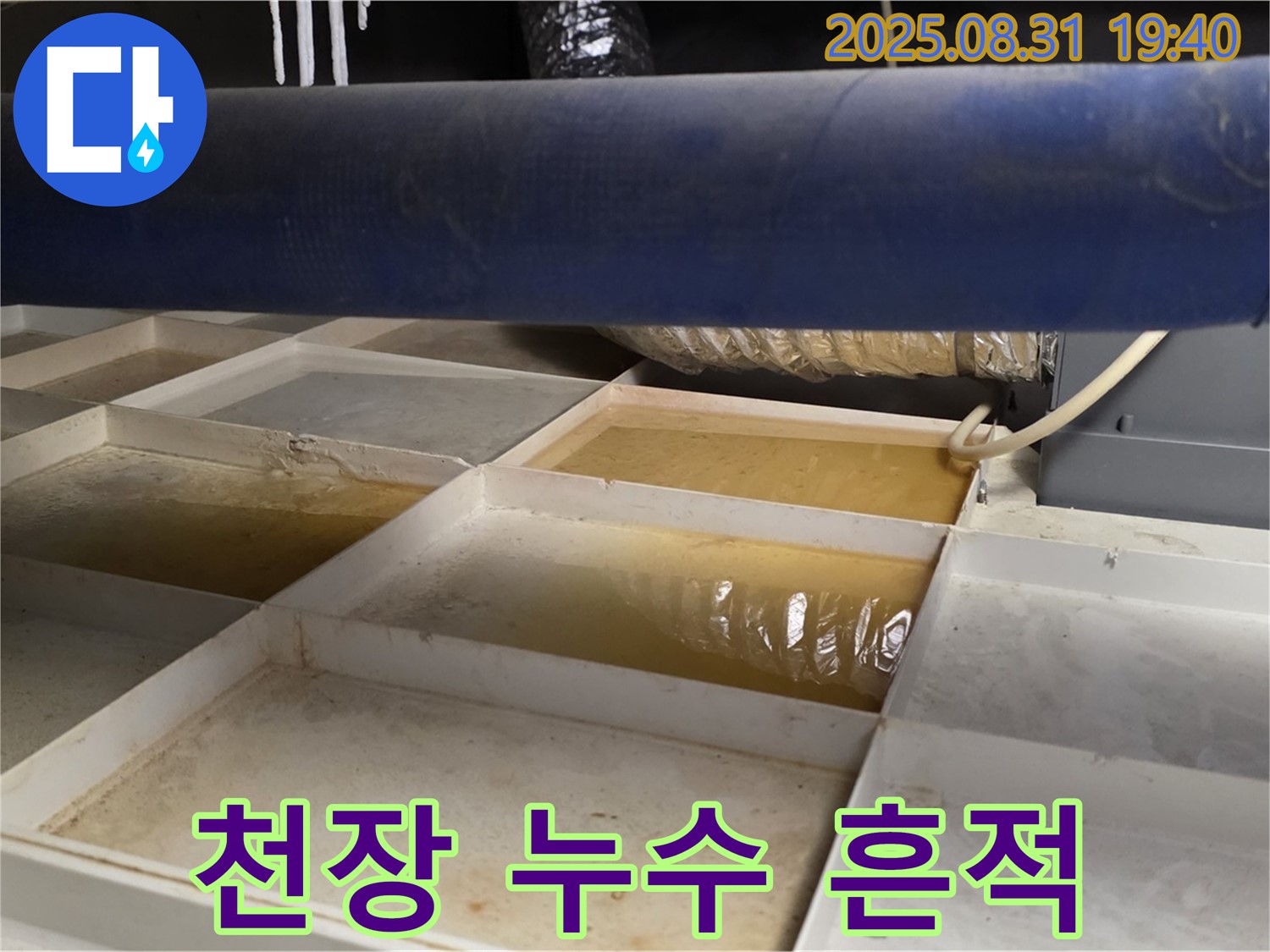 천장 누수 흔적 - 트레이 속 물 - 누수 의심 필수