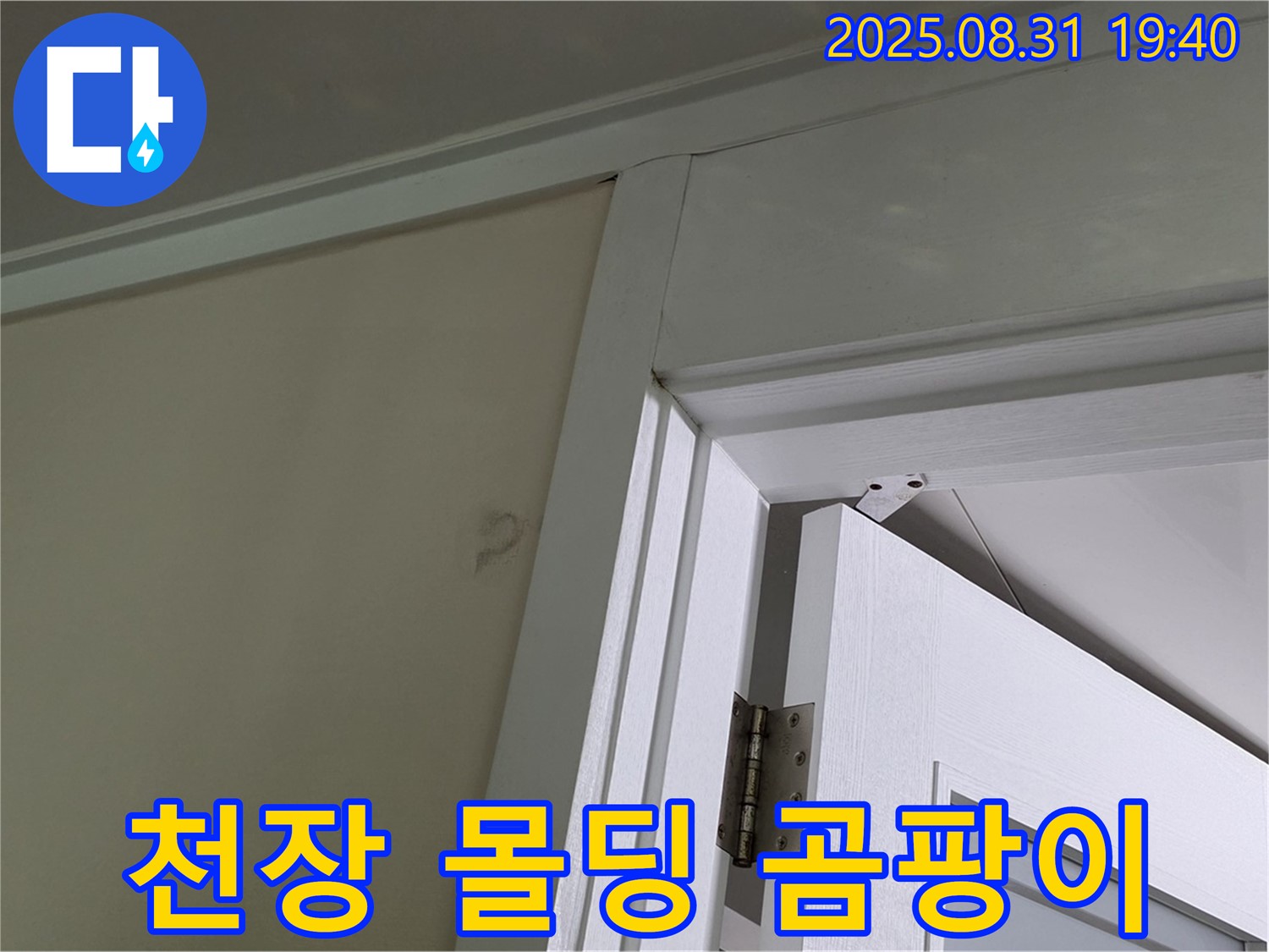 천장 몰딩 곰팡이 - 천장 몰딩에 곰팡이가 발생했습니다.