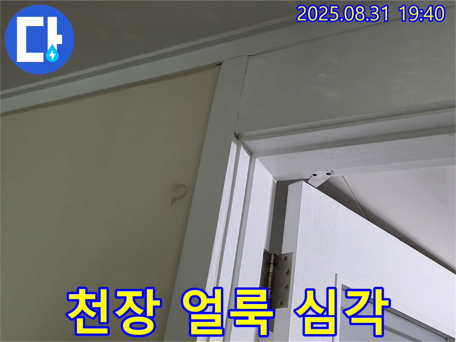 천장 얼룩 심각 - 천장에 넓게 퍼진 얼룩이 누수의 심각성을 보여줍니다.
