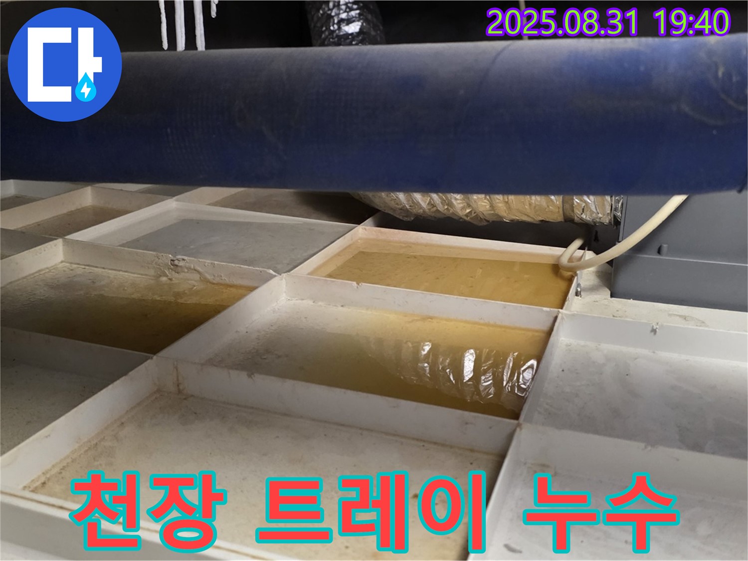 천장 트레이 누수 - 고인 물 확인 - 누수 해결