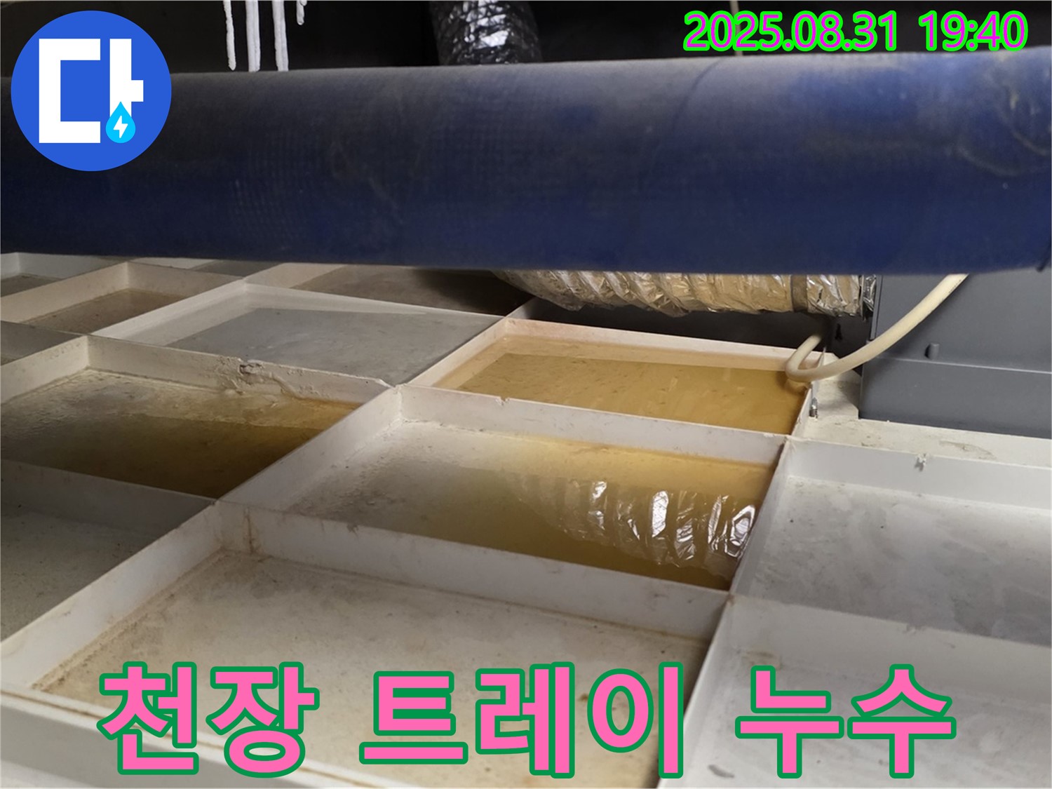 천장 트레이 누수 - 고인 물 확인 - 누수 해결 완료
