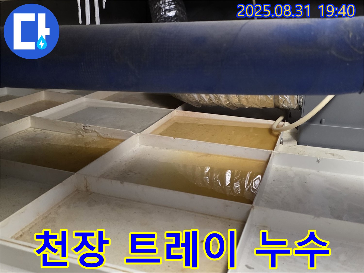 천장 트레이 누수 - 트레이에 고인 물 - 즉시 점검 필요