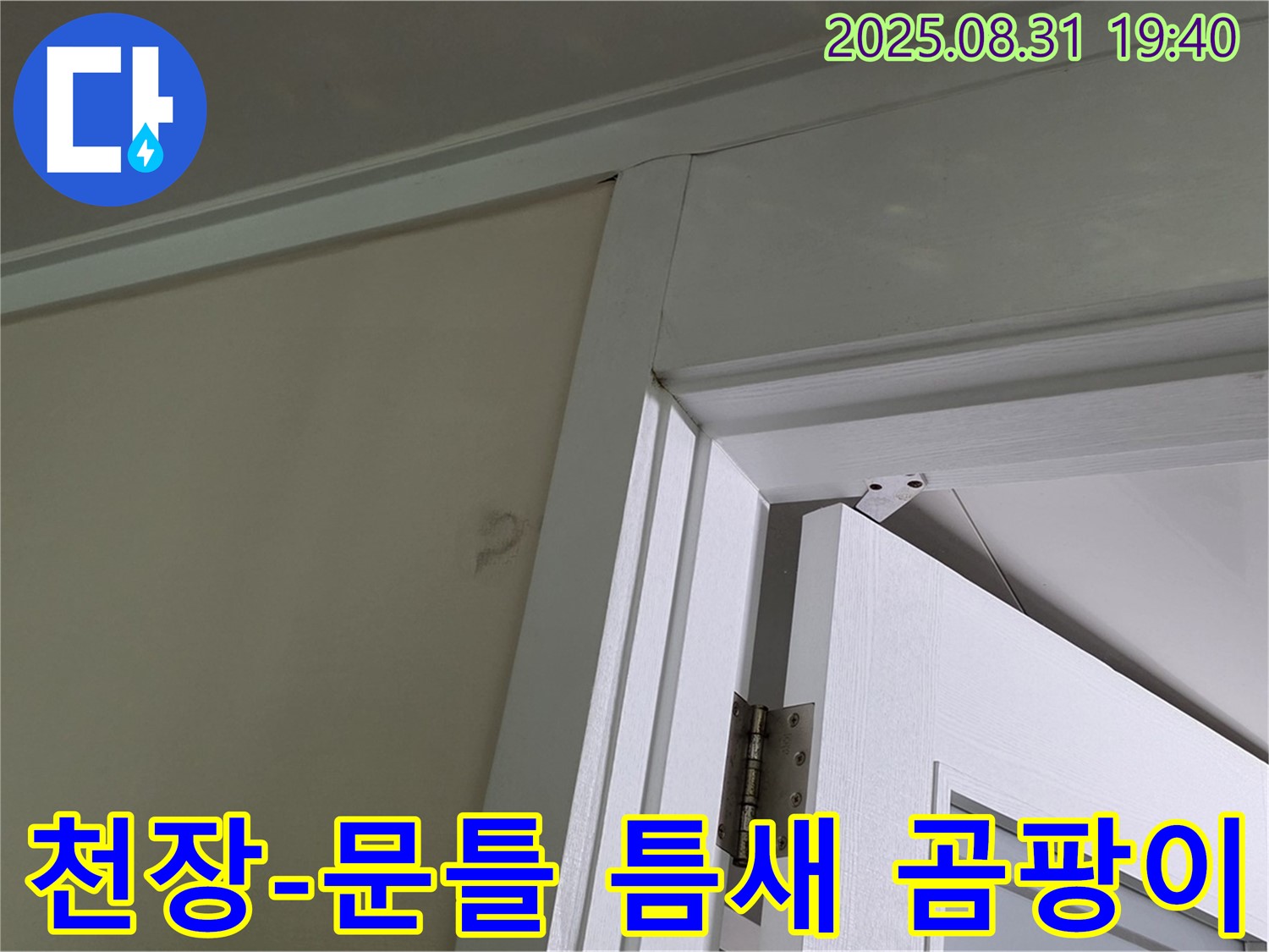 천장과 문틀 틈새 곰팡이 - 천장과 문틀 틈새에 곰팡이가 발생한 모습입니다.