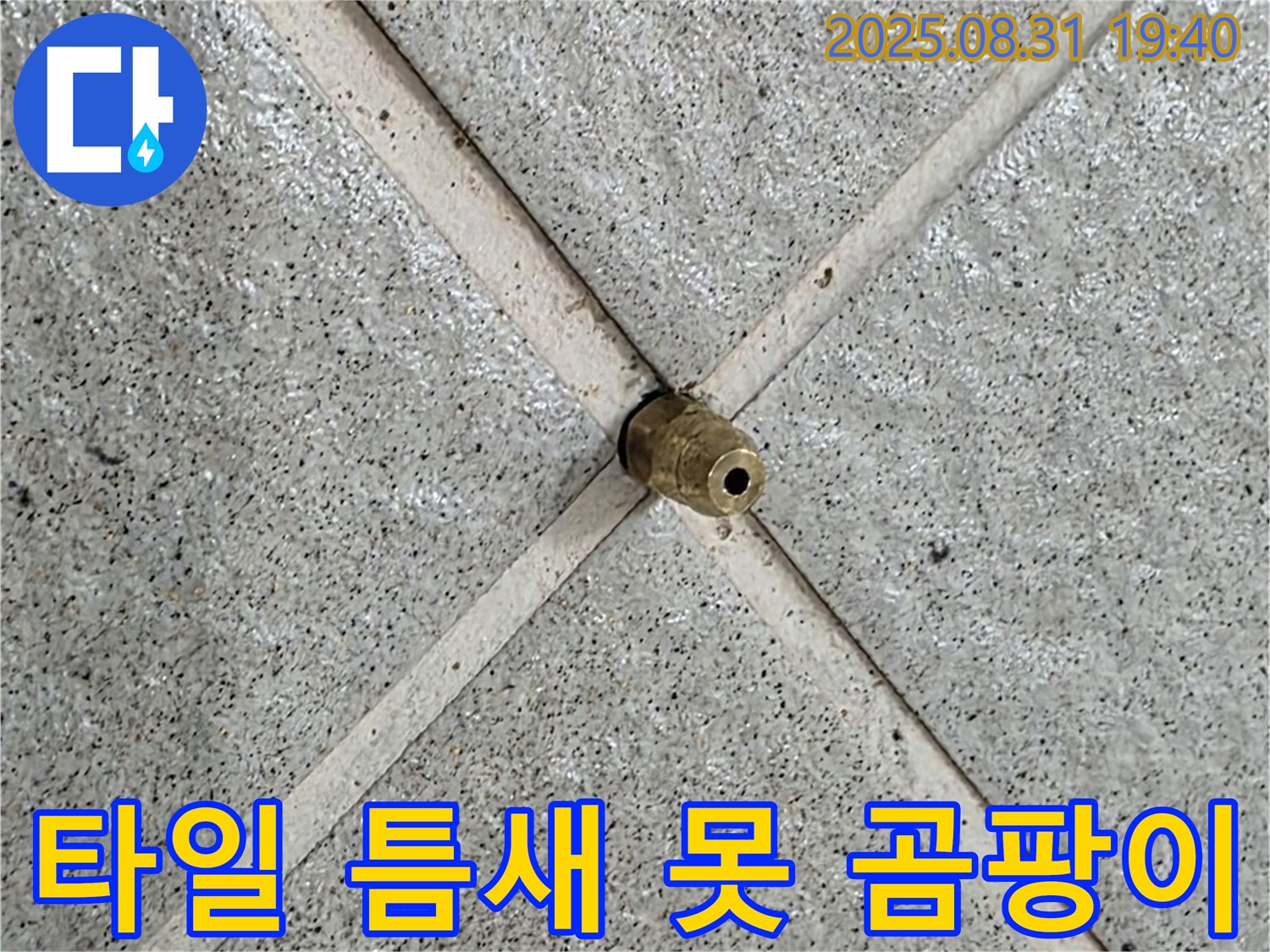 타일 틈새 못 완벽 제거 후 곰팡이까지 싹 - 쾌적한 공간으로!