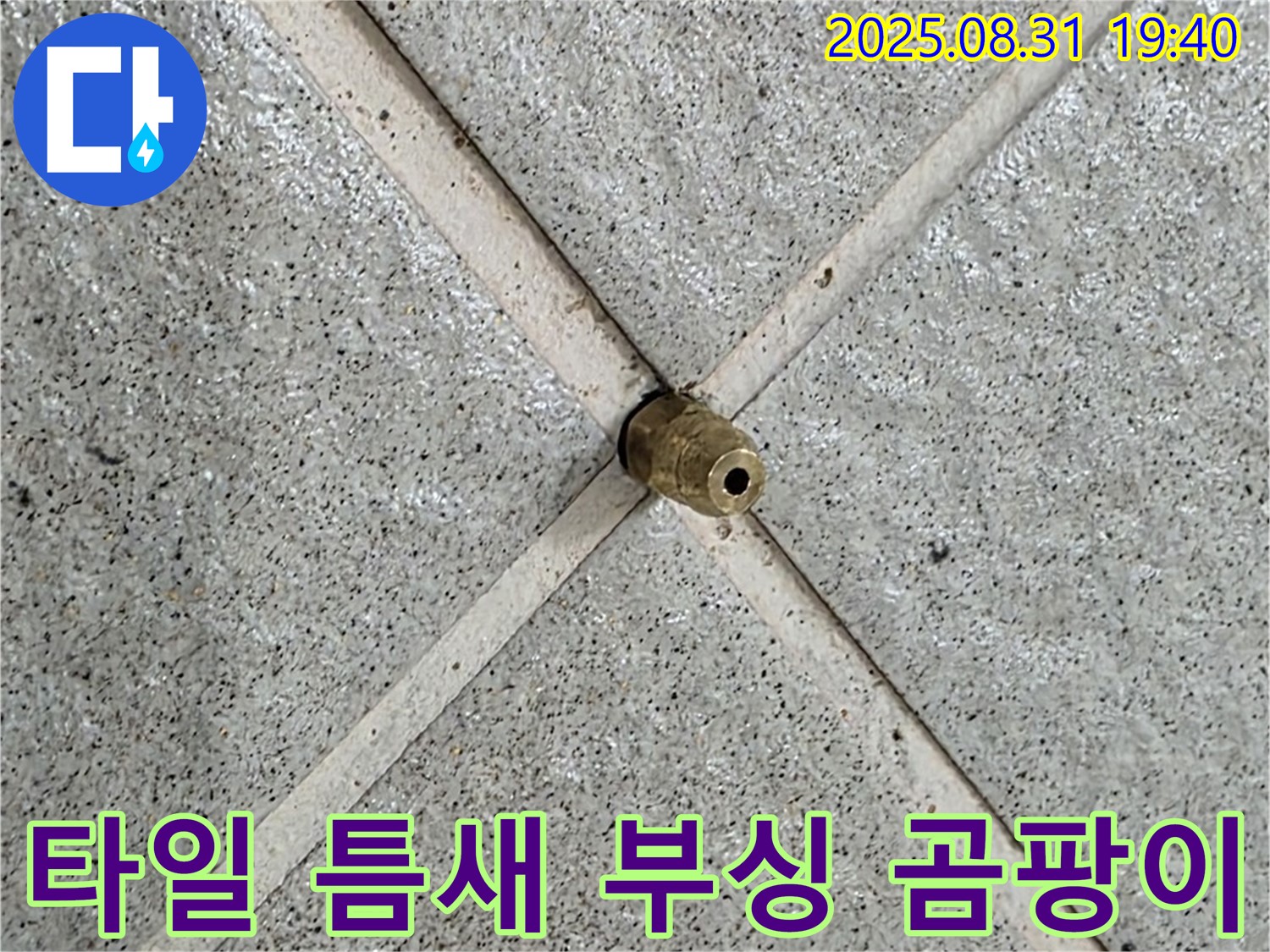 타일 틈새 부싱 완벽 제거 후 곰팡이까지 싹 - 쾌적한 공간으로!