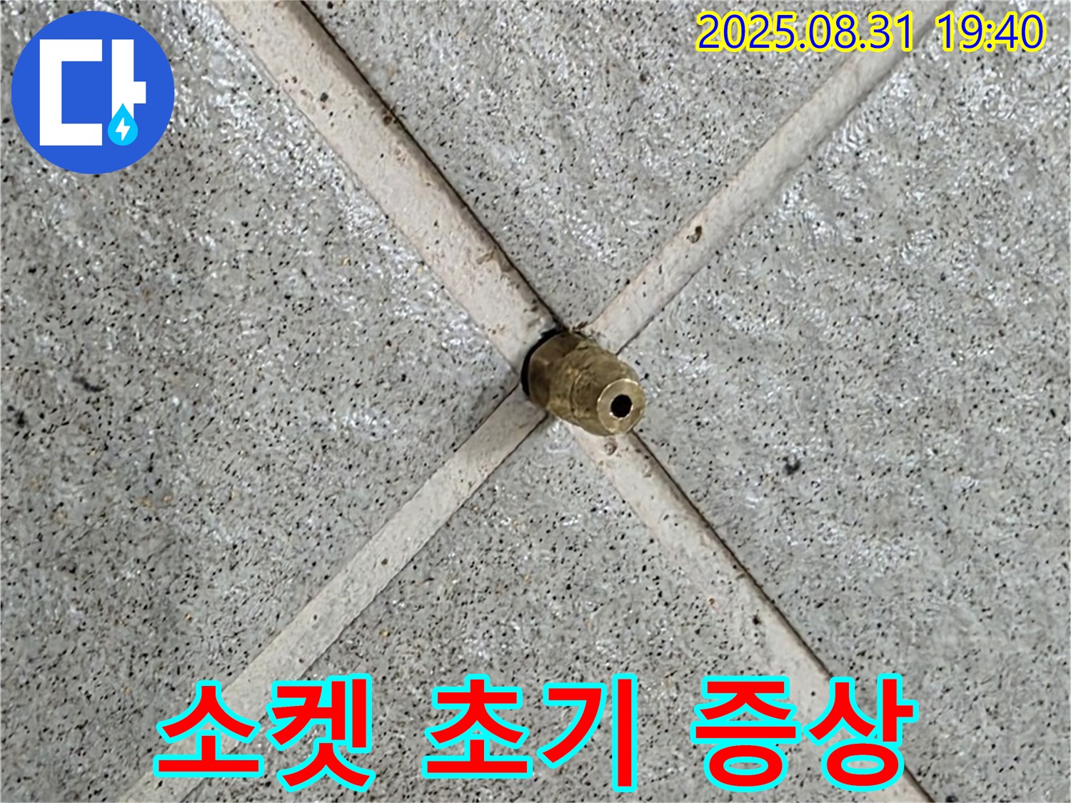 타일 틈새에 박힌 소켓 - 누수 초기 증상일 수 있습니다.