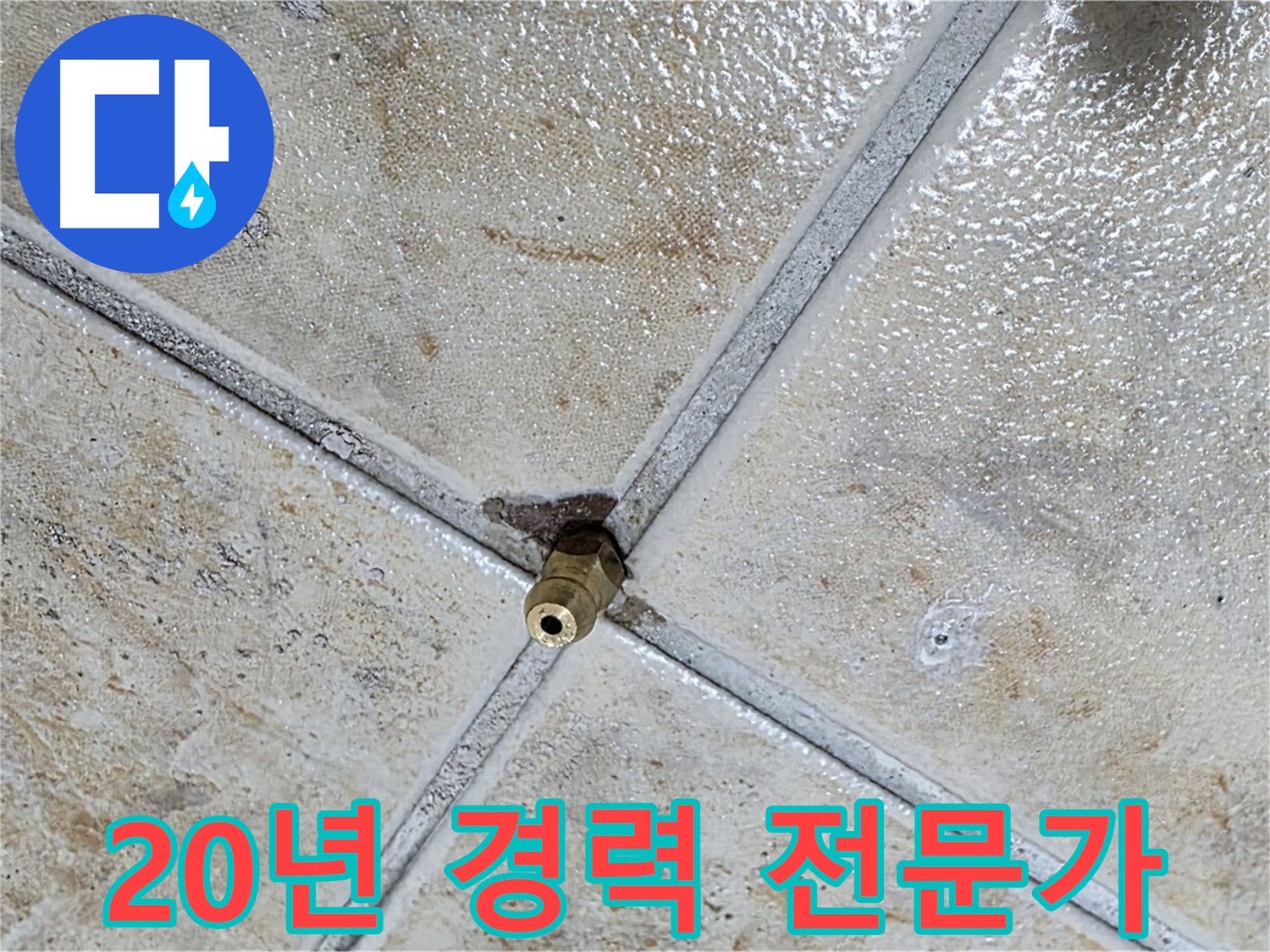 20년 경력 전문가 - 완벽 해결
