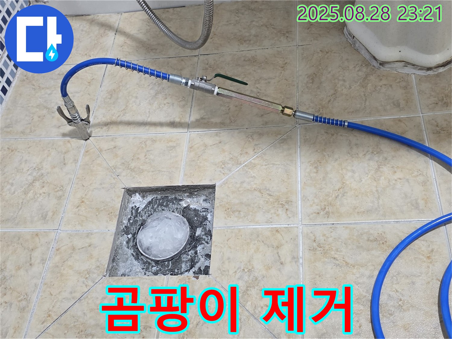 곰팡이 제거 - 배수구 곰팡이 깨끗하게 제거