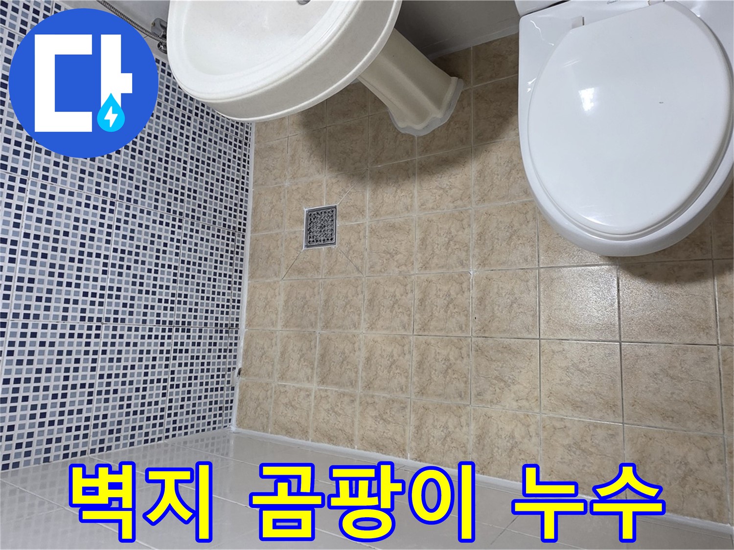 곰팡이 핀 벽지 - 누수 의심 - 정확한 진단