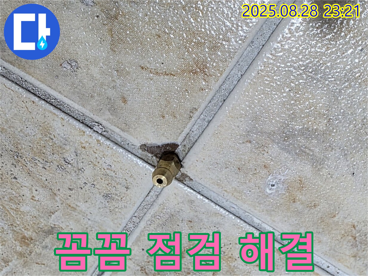 꼼꼼 점검 해결 - 완벽하게