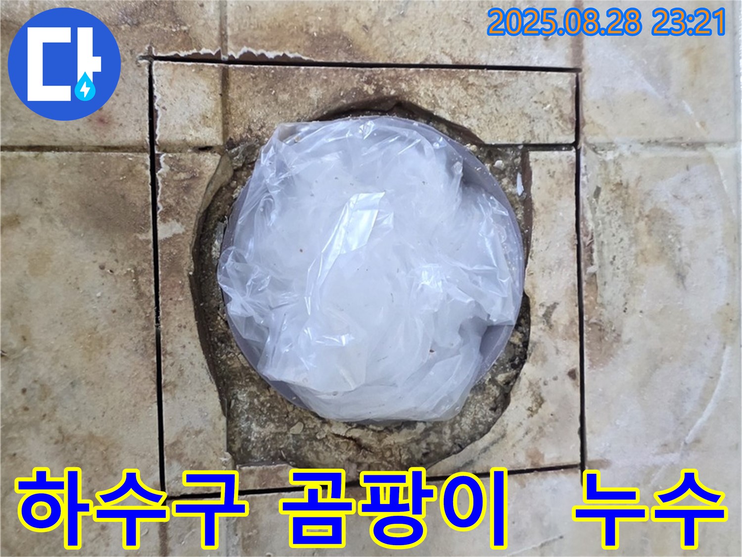 묵동 욕실 - 하수구 주변 곰팡이 - 누수 때문