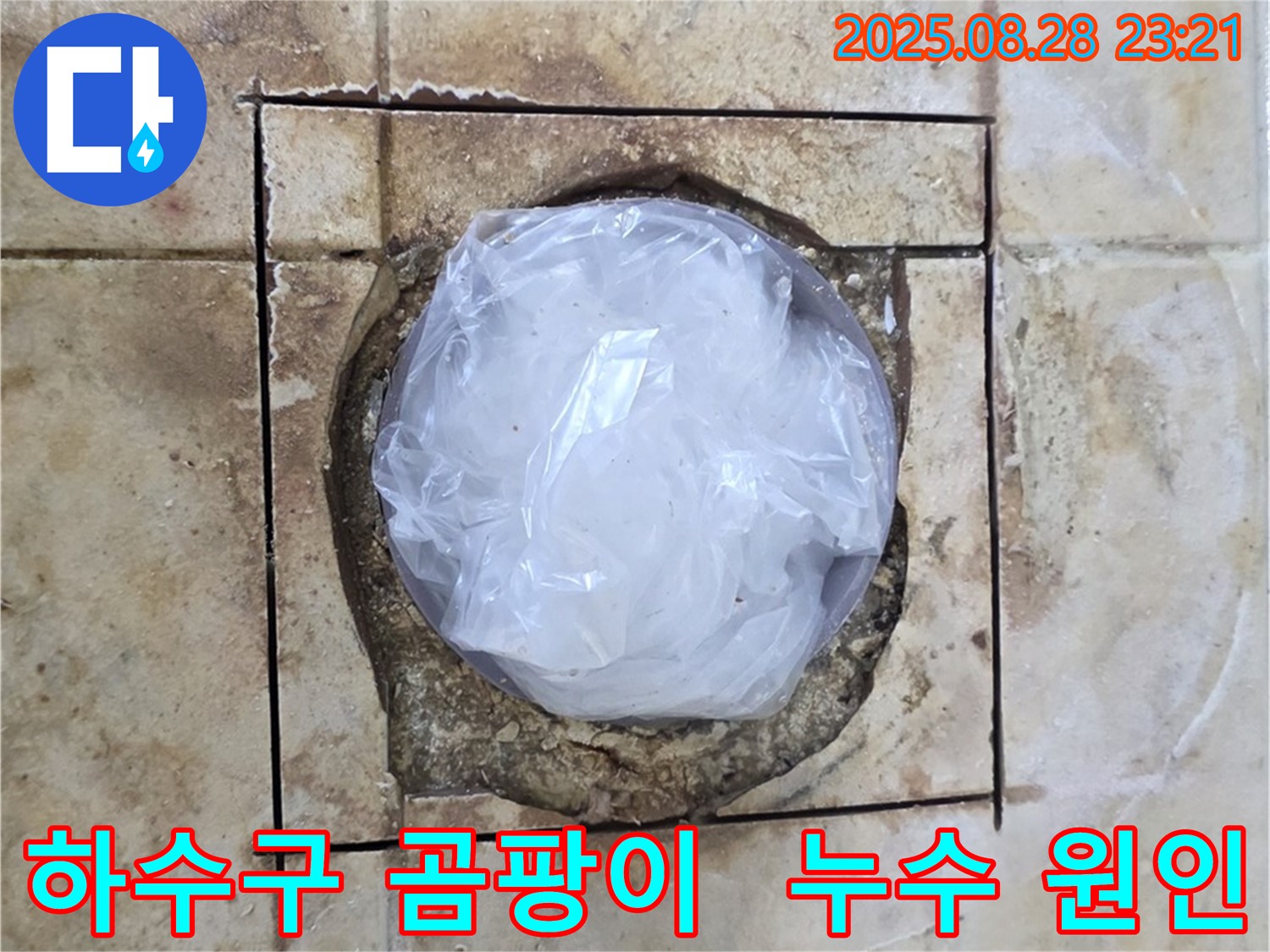 묵동 욕실 - 하수구 주변 곰팡이 - 누수 때문