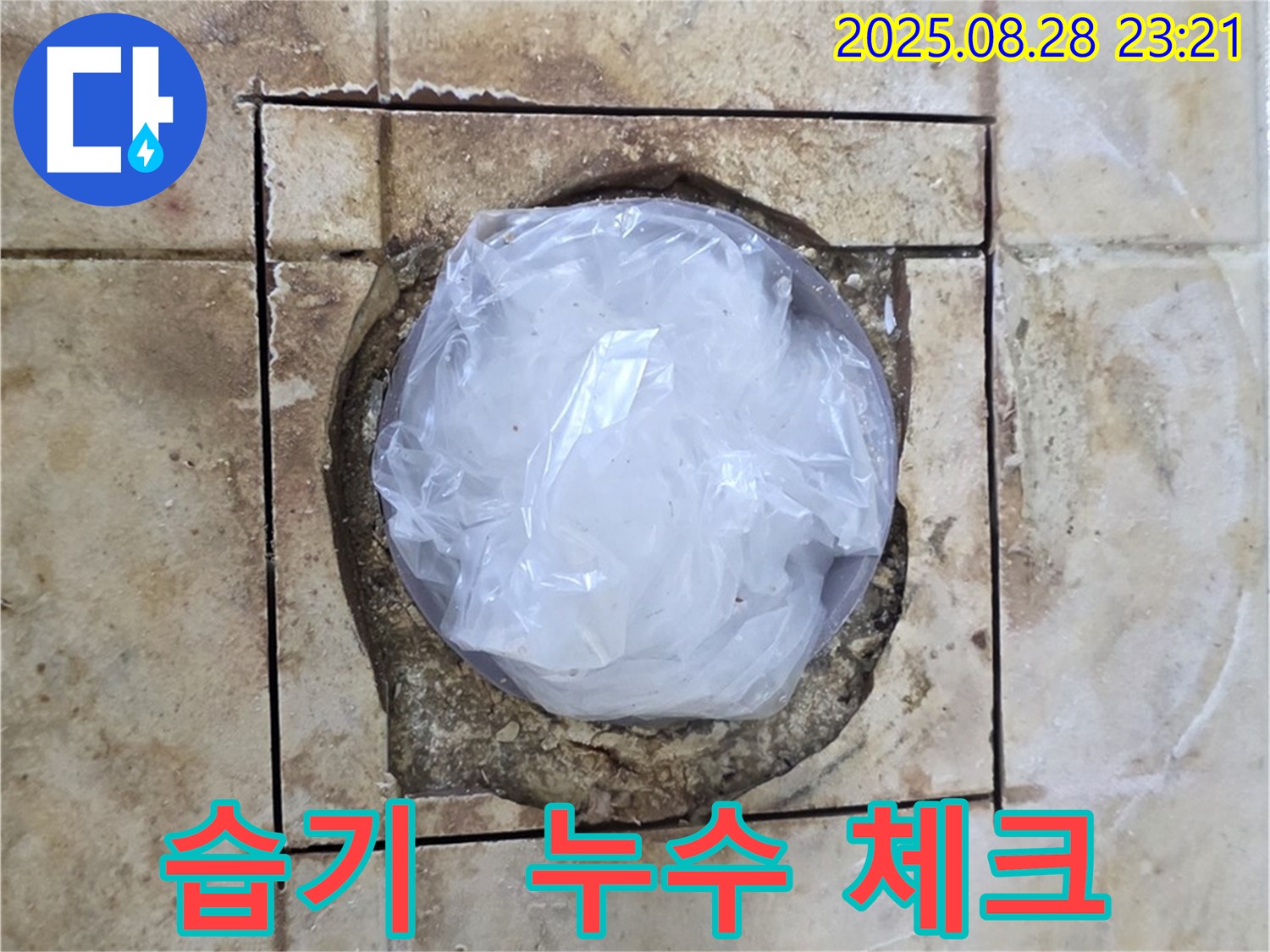 묵동 욕실 - 하수구 주변 습기 - 누수 가능성 체크