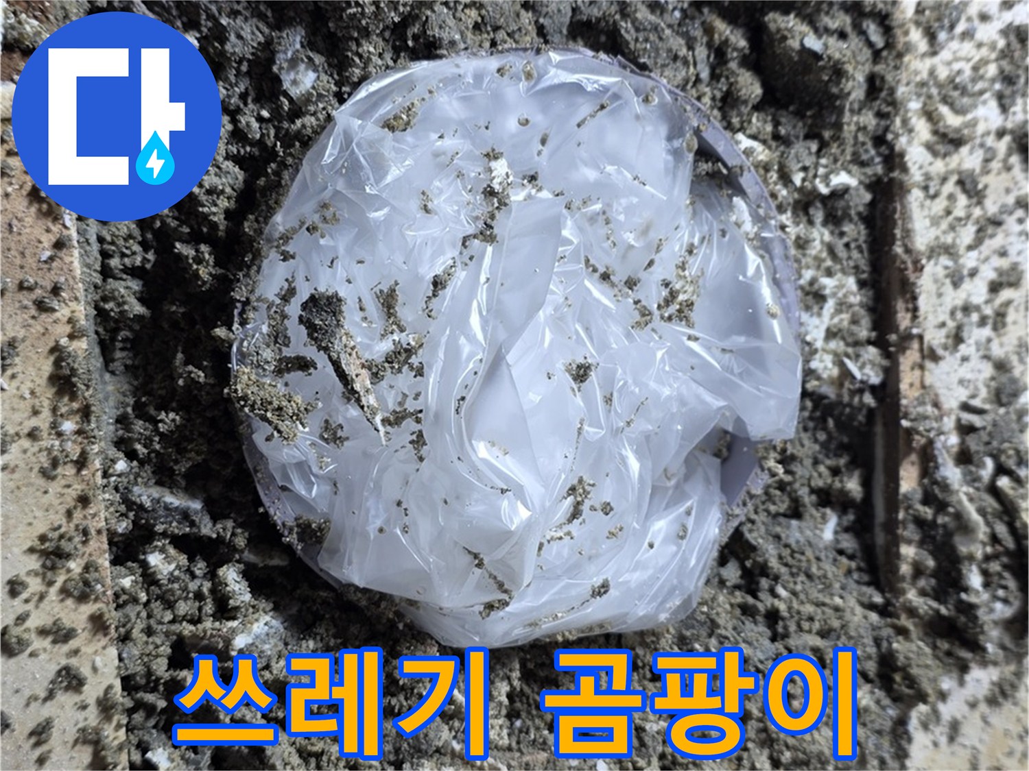 묵동 타일 밑 쓰레기 곰팡이 - 습격!