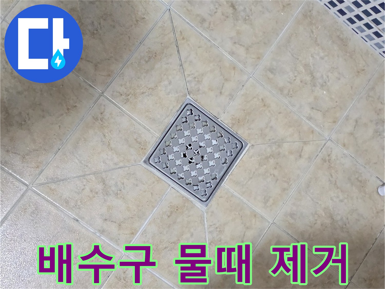 배수구 물때 - 친환경 세제, 항균 코팅