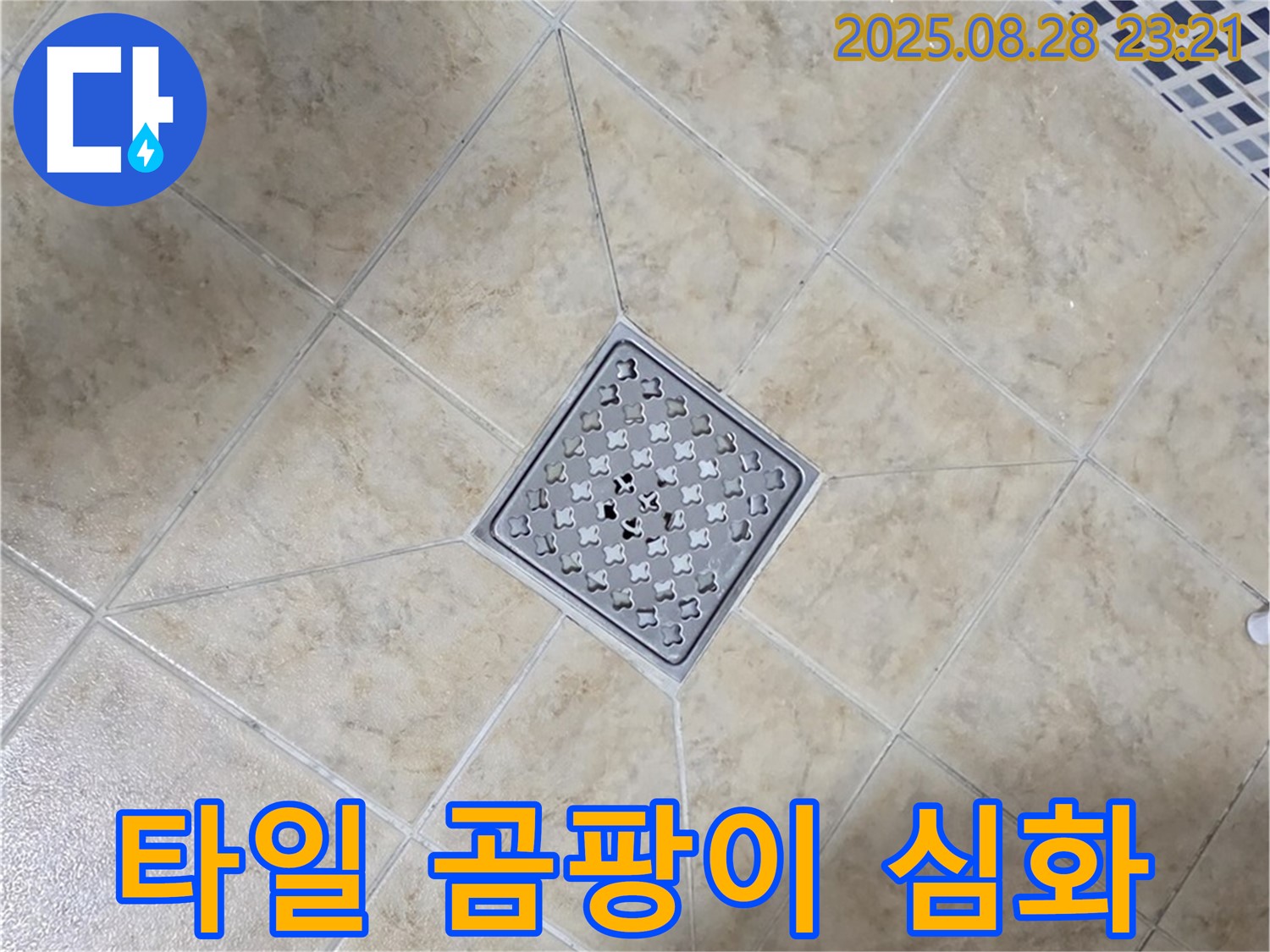 배수구 주변 곰팡이 번식 심화 - 곰팡이 제거 및 항균 시공