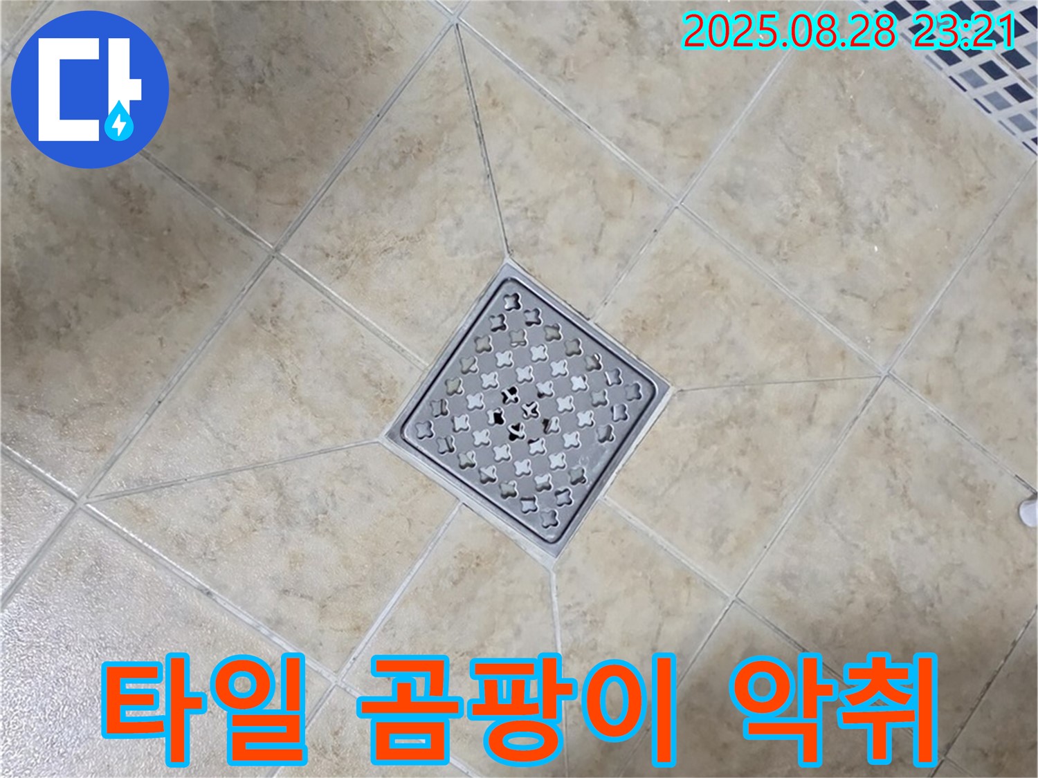 배수구 주변 곰팡이 재발 악취 - 철저한 제거 및 방지