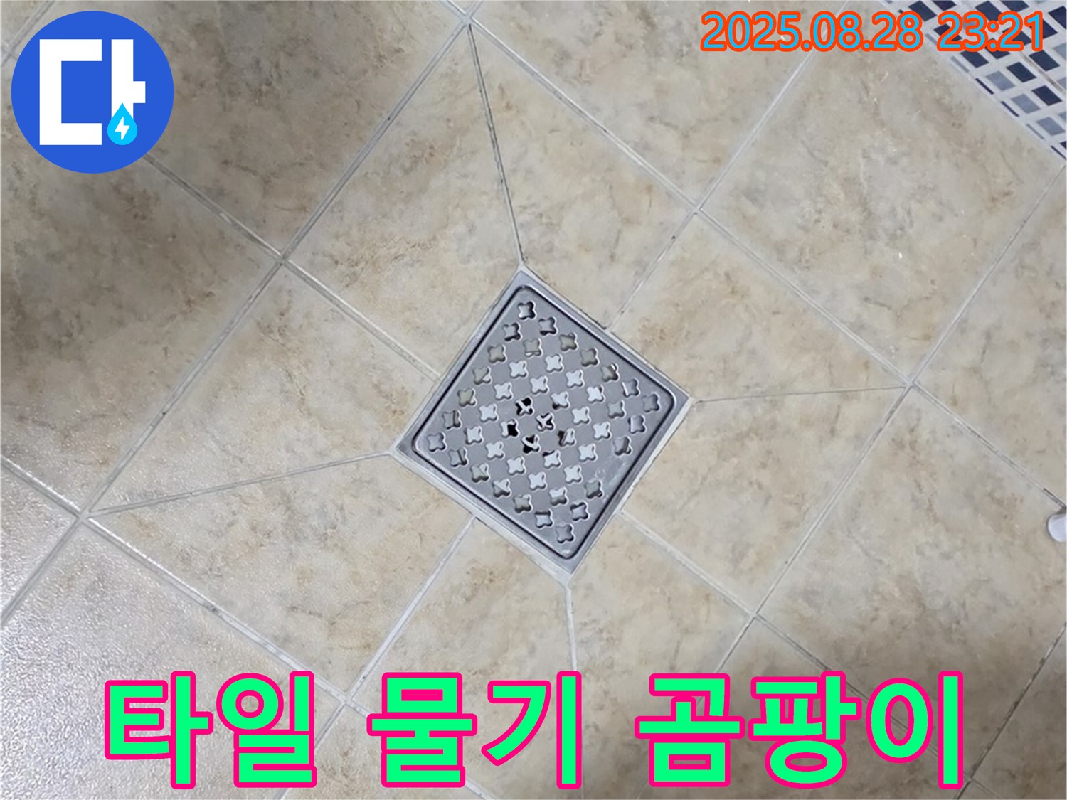 배수구 주변 물기 곰팡이 - 습기 제거 및 방지