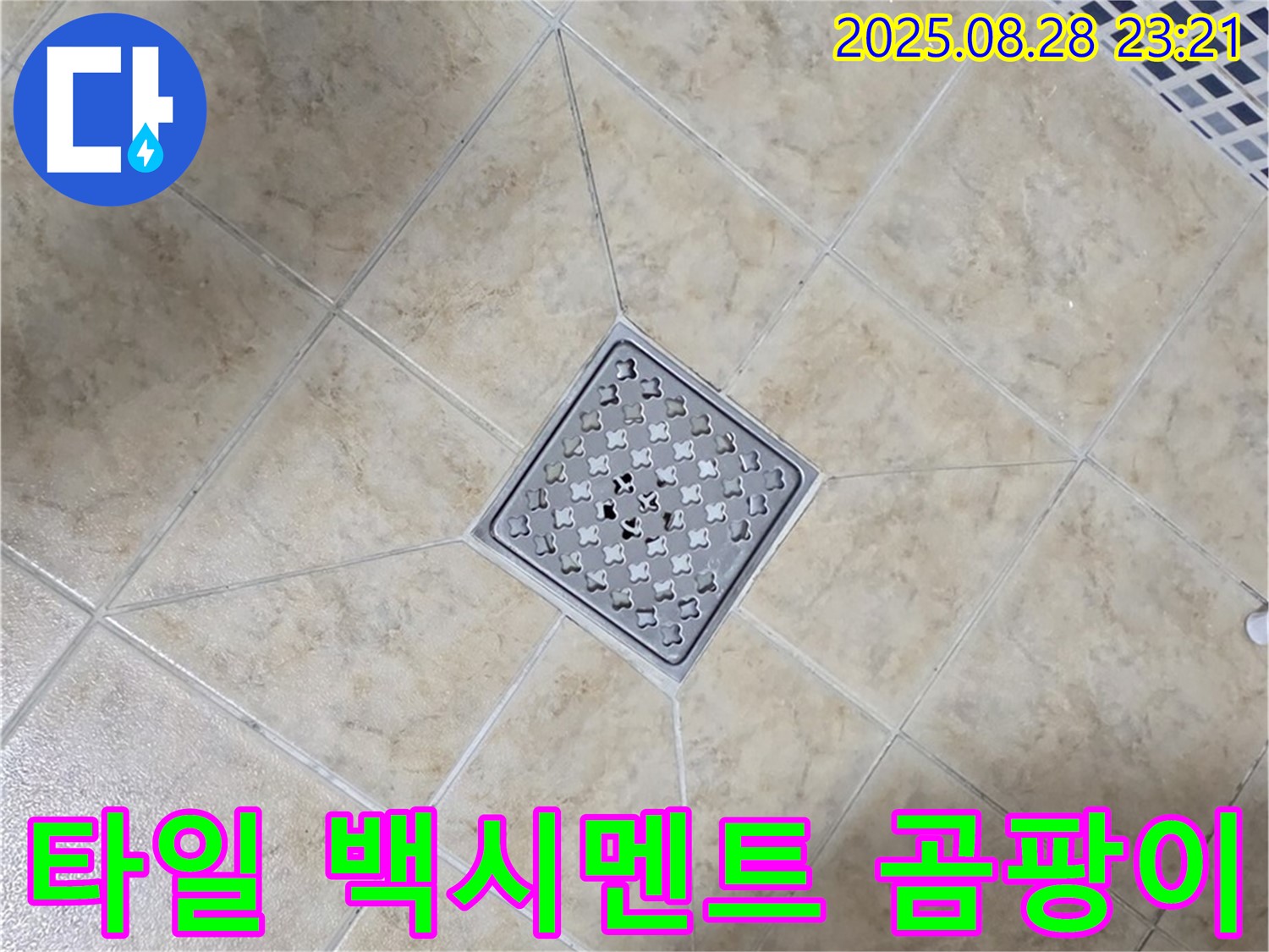 배수구 주변 백시멘트 변색 곰팡이 - 제거 후 재시공