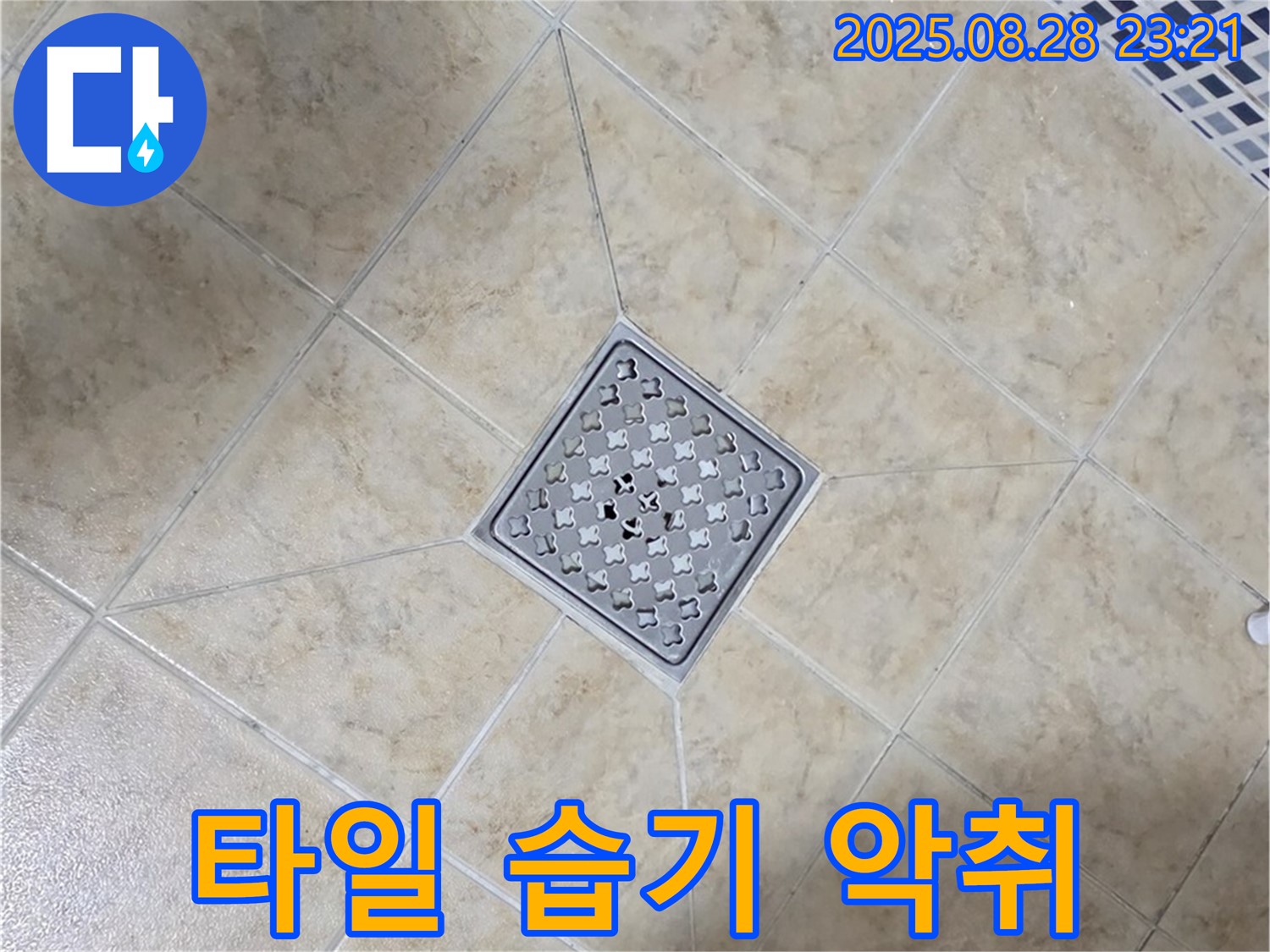 배수구 주변 습기 곰팡이 악취 - 환기 개선 및 복합 제거