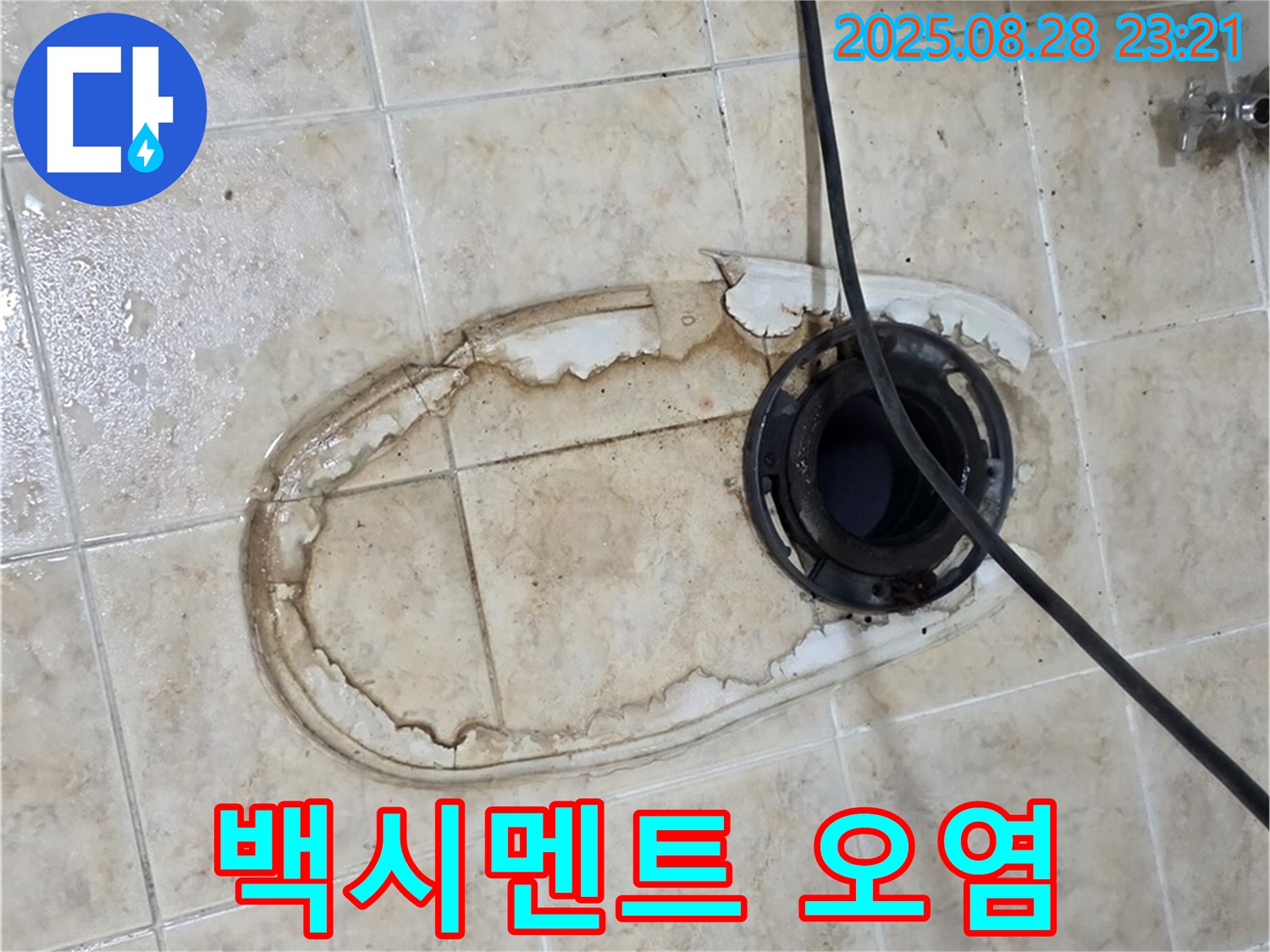 백시멘트 오염 - 세균 번식