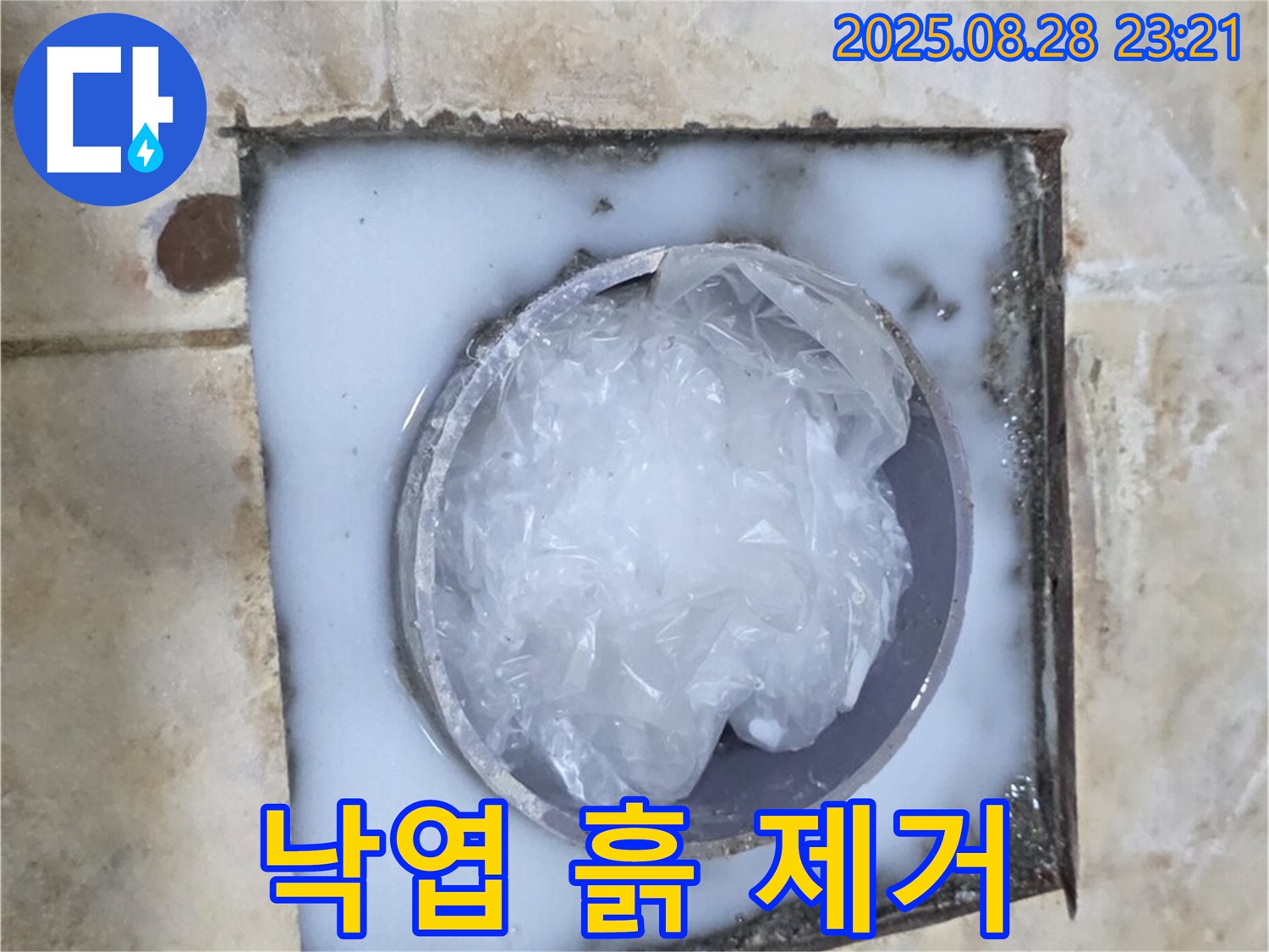 베란다 하수구 - 낙엽 제거