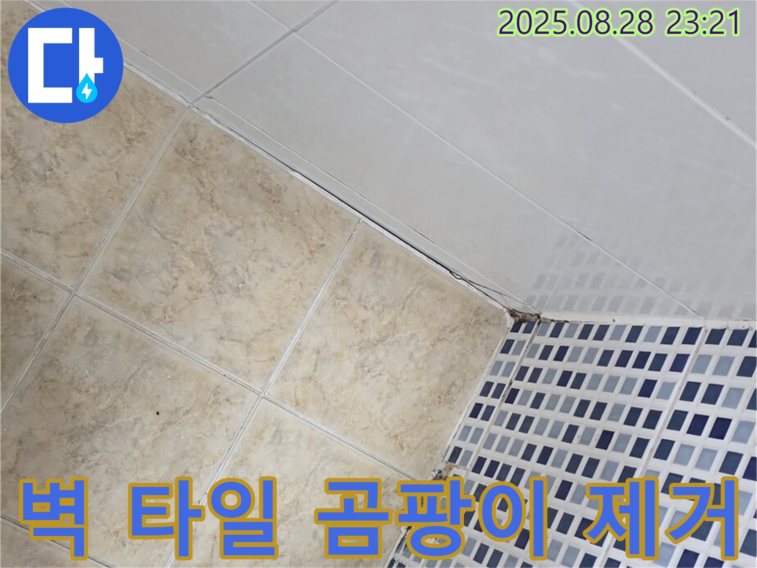 벽 타일 틈새 누수 - 곰팡이 제거 및 실리콘 시공