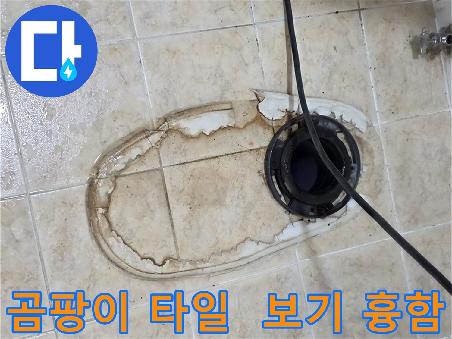 변기 누수 - 곰팡이 핀 타일, 보기 흉하죠?