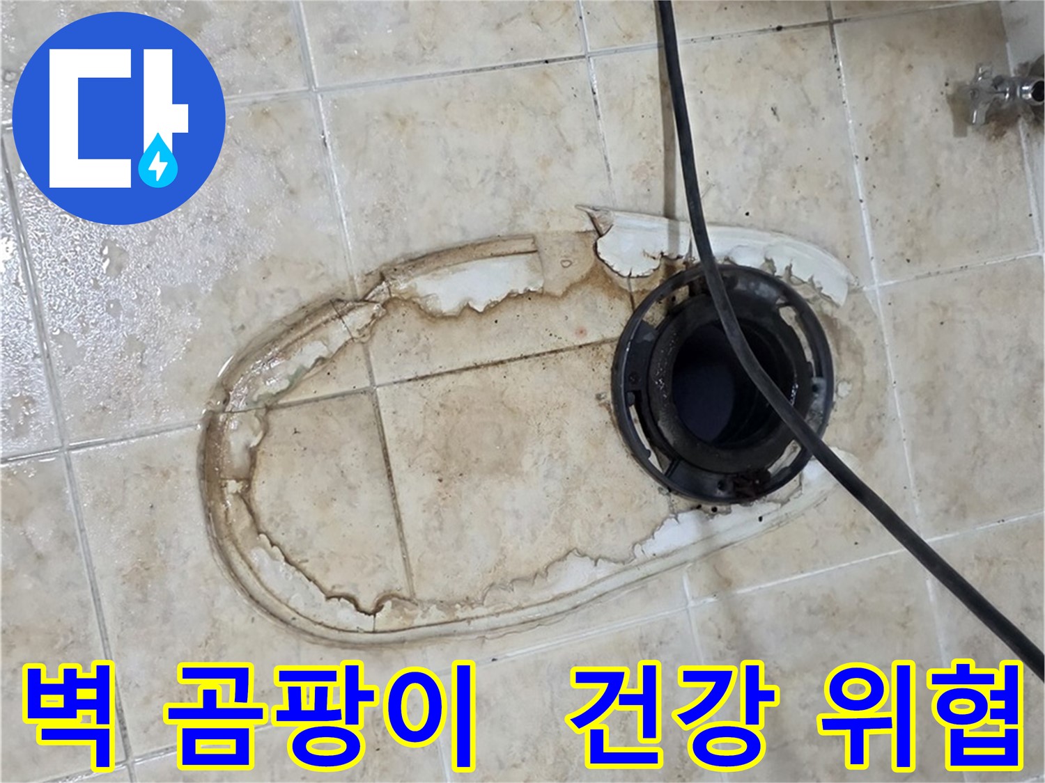 변기 누수 - 변기 뒤편 벽 곰팡이, 건강 위협
