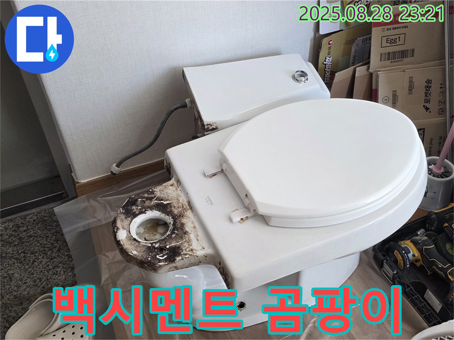 변기 누수 - 중랑구 묵동 백시멘트 사이 곰팡이 발생