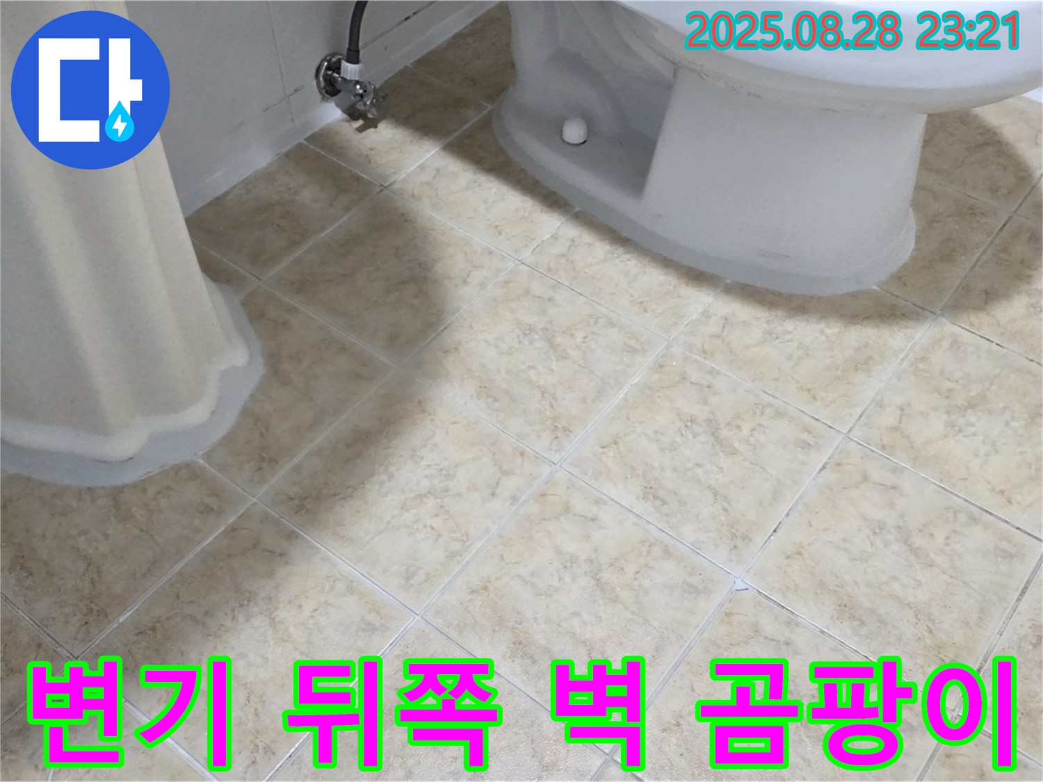 변기 뒤쪽 - 벽 - 곰팡이