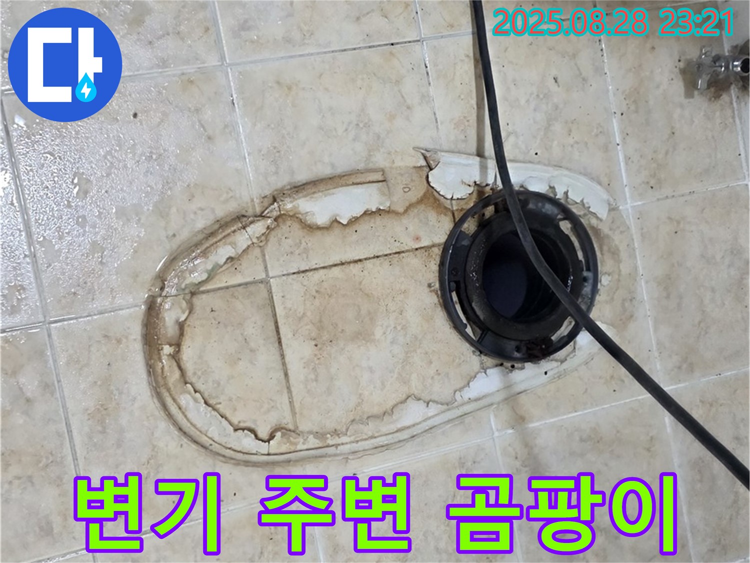 변기 주변 곰팡이 - 건강 위협