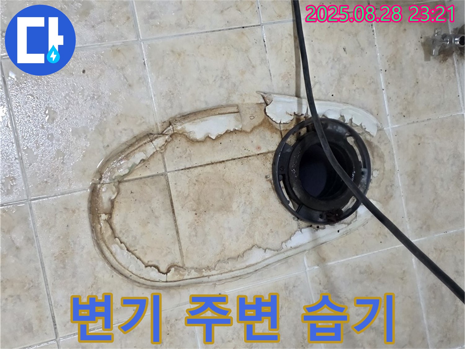 변기 주변 습기 - 곰팡이 서식 최적 환경