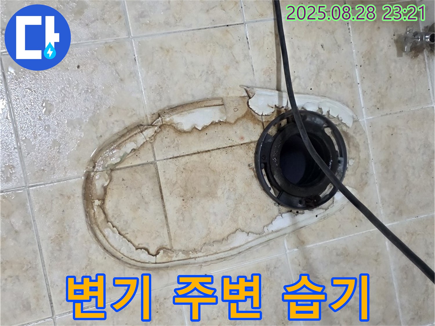 변기 주변 습기 - 곰팡이 서식 최적 환경