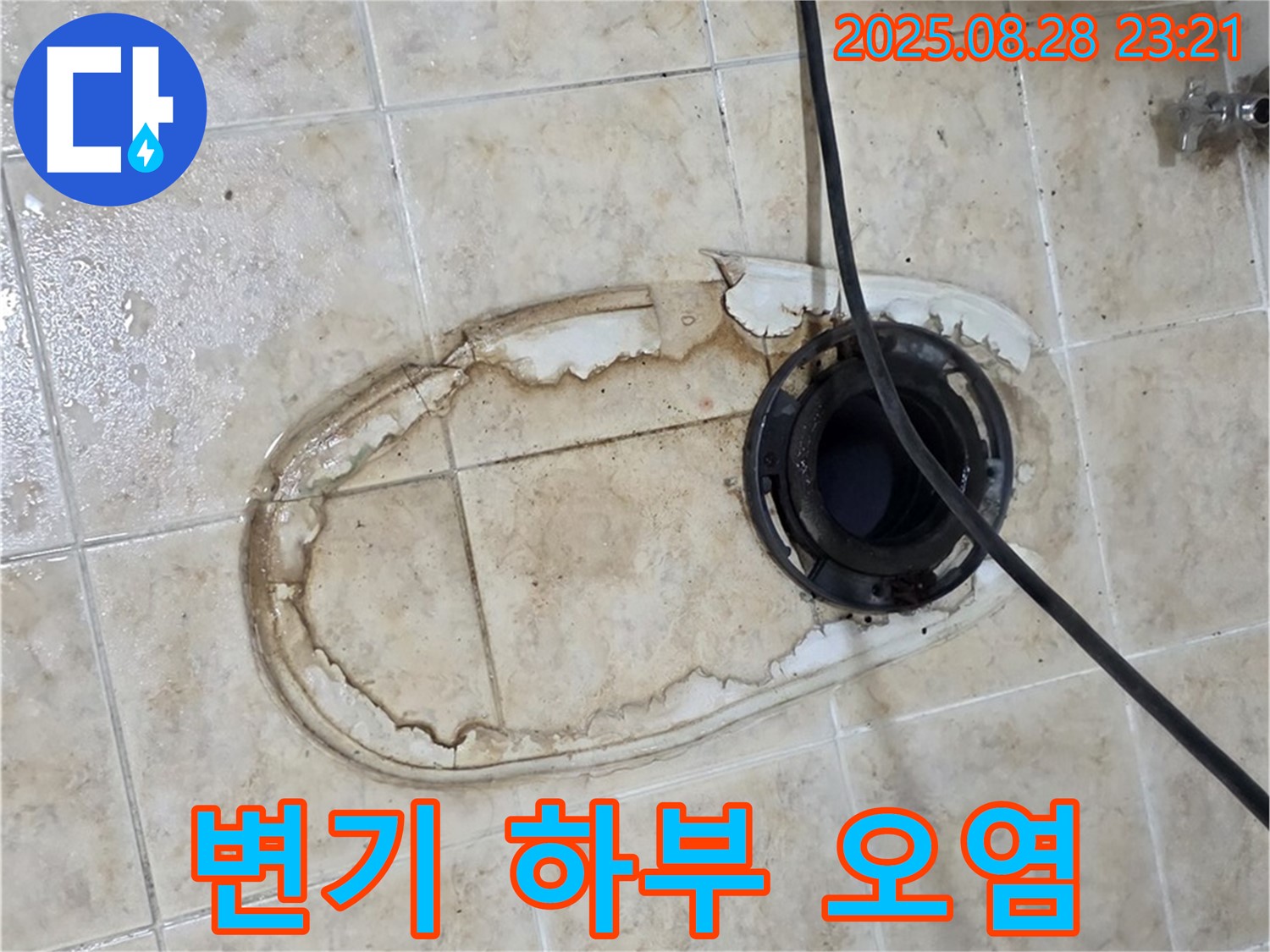 변기 하부 오염 - 세균 득실