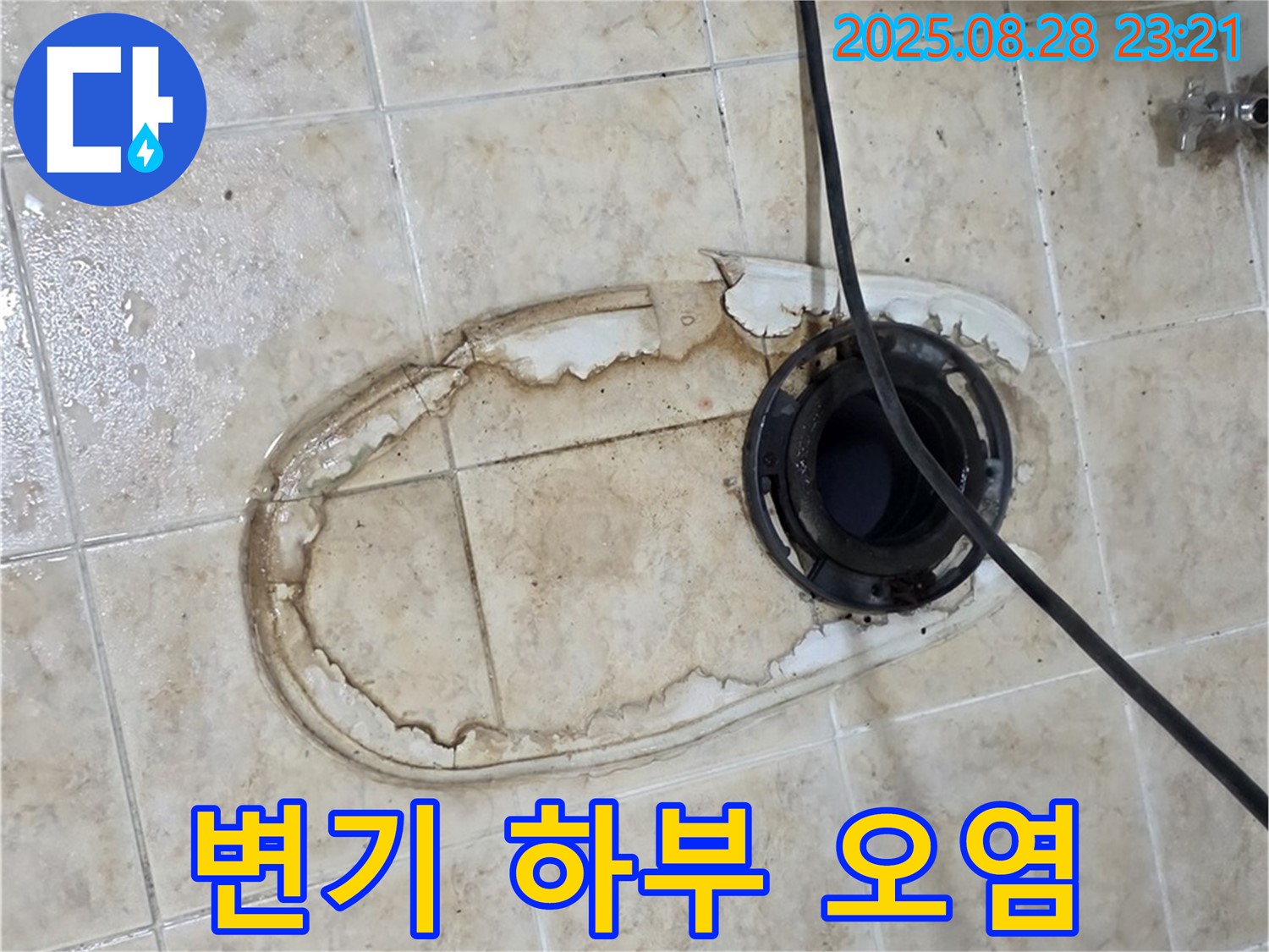 변기 하부 오염 - 세균 번식