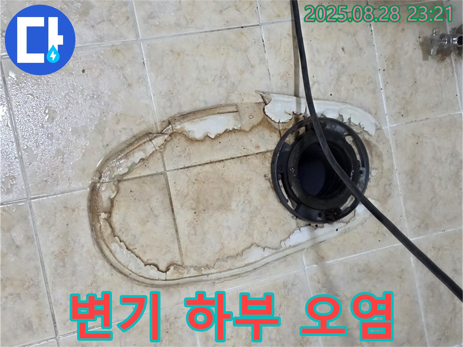 변기 하부 오염 - 세균 번식
