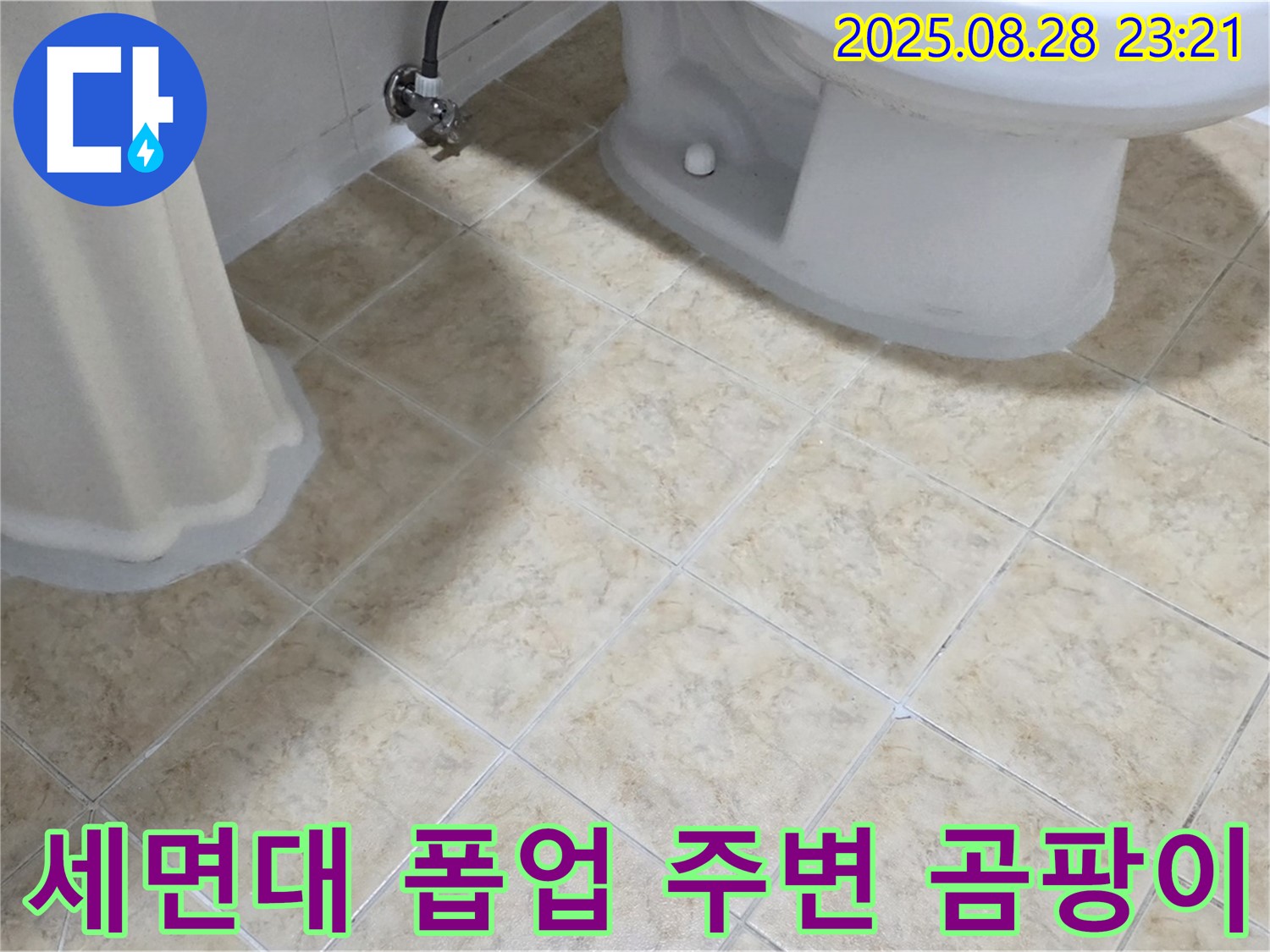 세면대 폽업 - 주변 - 곰팡이