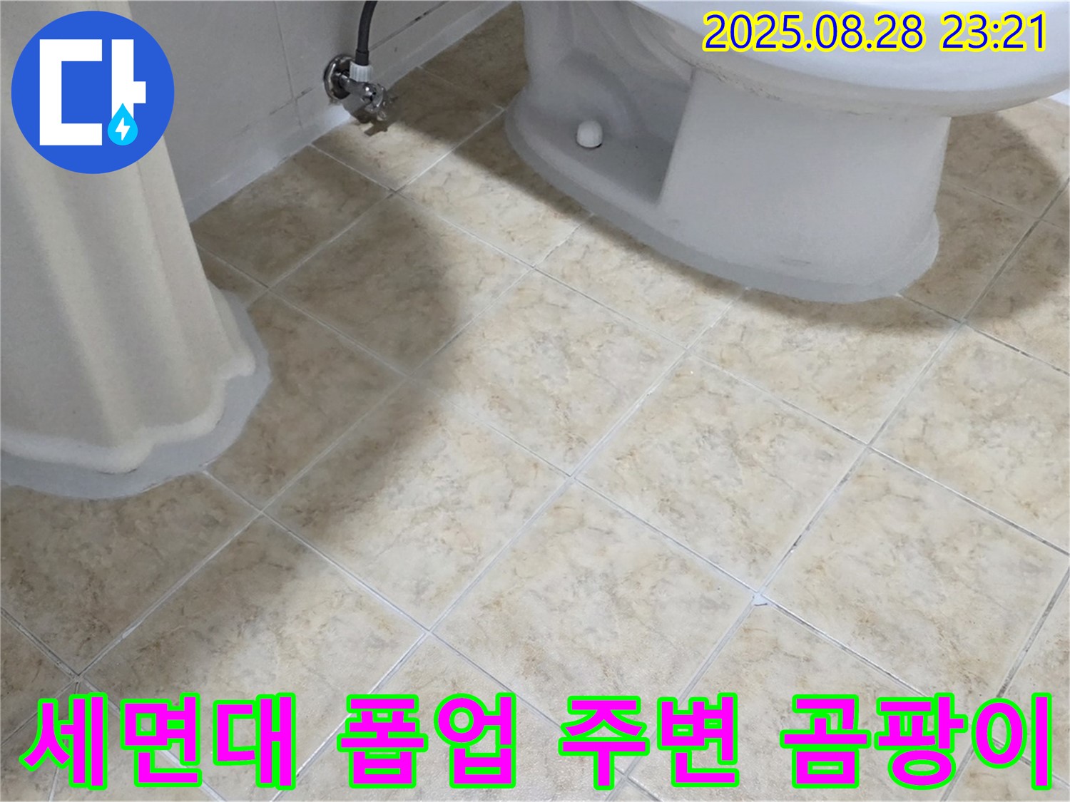 세면대 폽업 - 주변 - 곰팡이