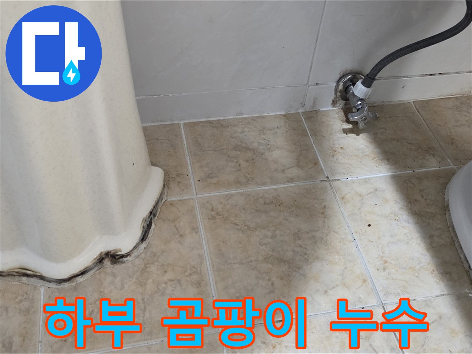 세면대 하부 곰팡이 - 세면대 하부에 곰팡이가 심하게 핀 모습입니다 - 건강에 적신호가 켜졌습니다.