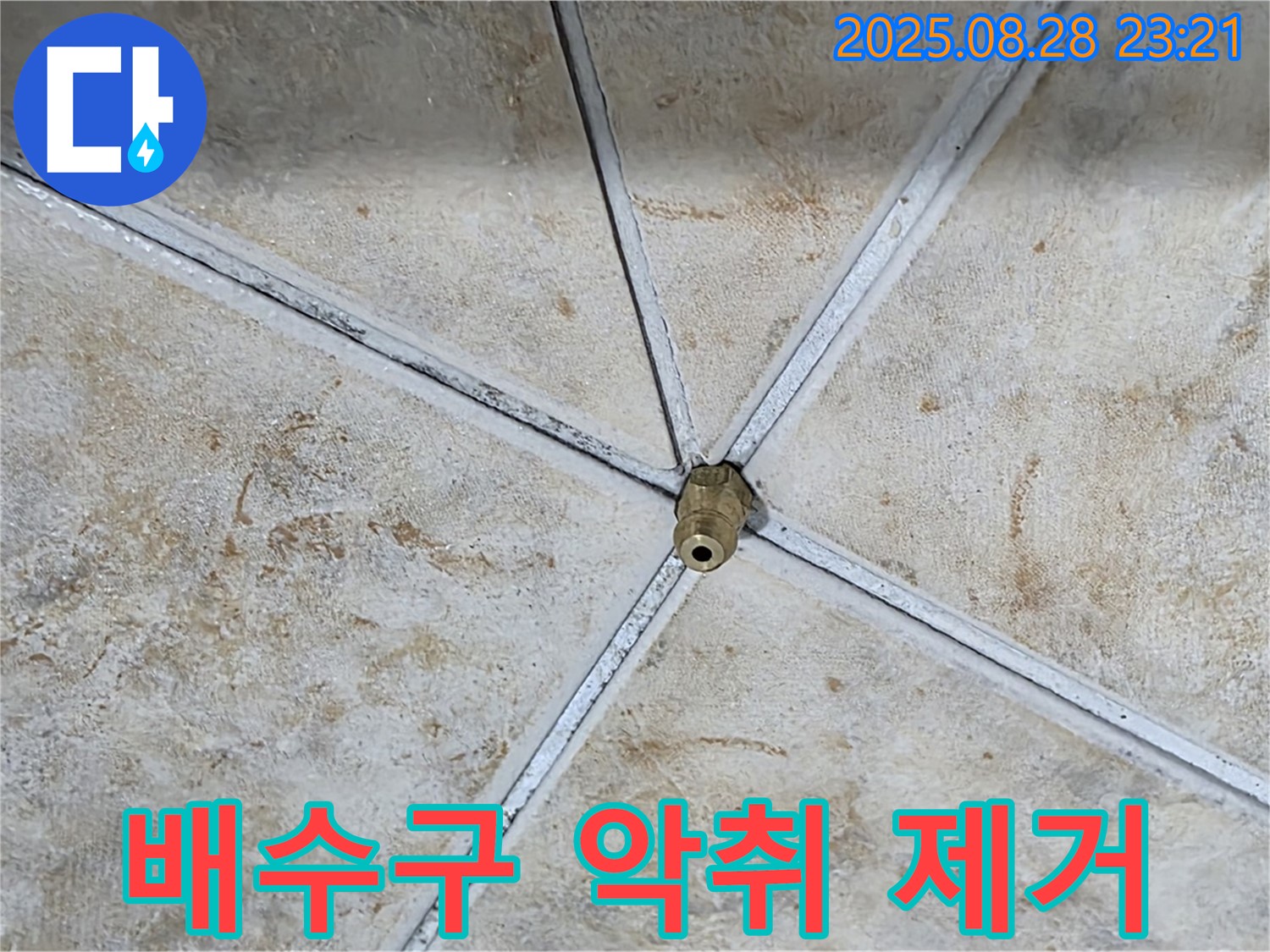 싱크대 배수구 악취 제거를 위해 꼼꼼하게 청소하고 트랩을 설치했습니다.
